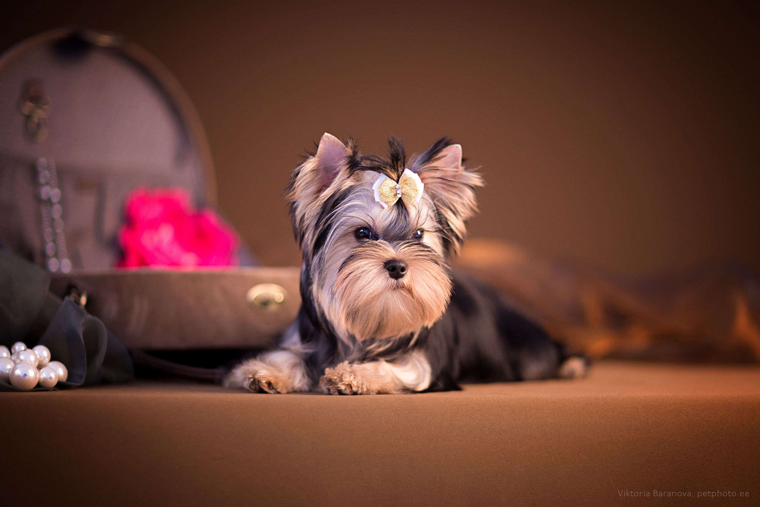 Larissa Johnson (4 фото). Фотограф в Таллине Виктория Баранова |фотосессии и обучение / Photographer Viktoria Baranova