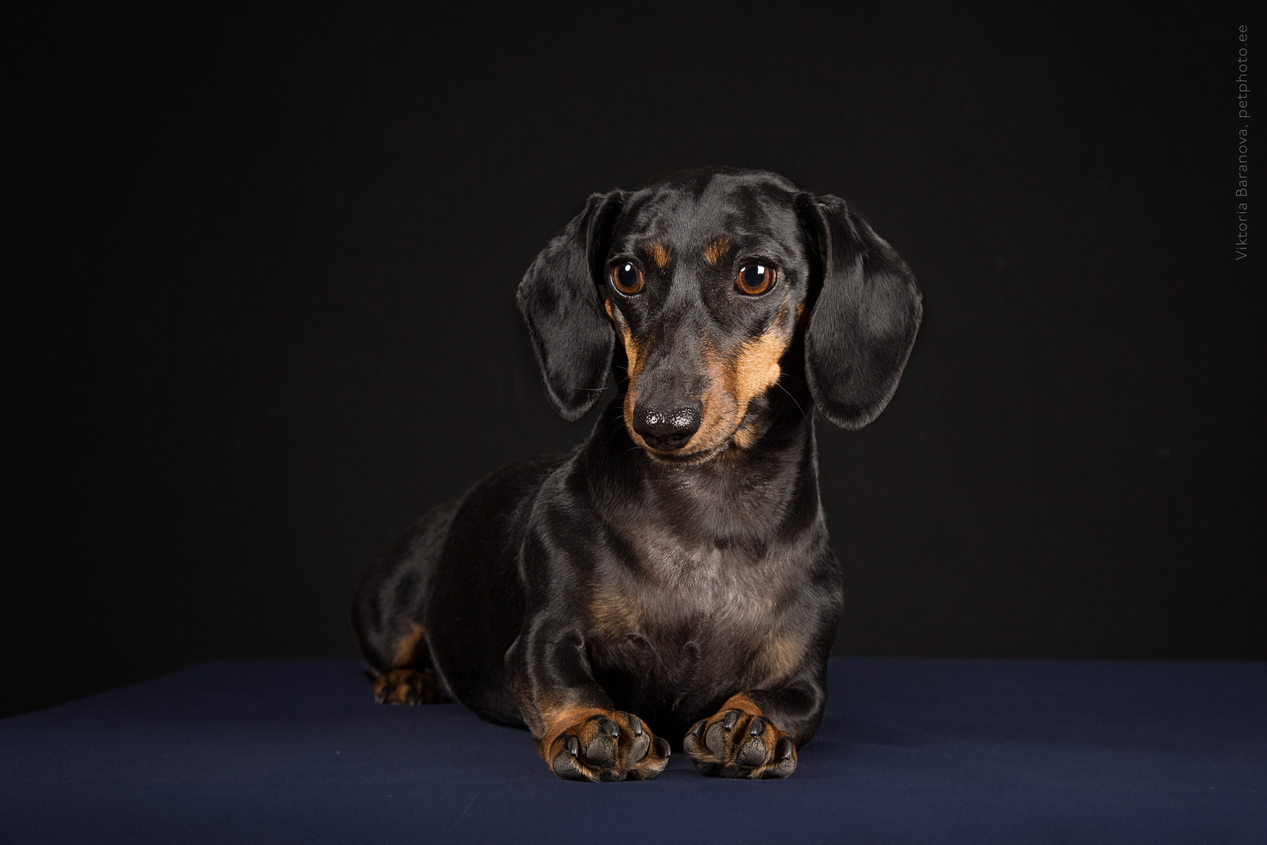 Pulja (5 фото). Фотограф в Таллине Виктория Баранова |фотосессии и обучение / Photographer Viktoria Baranova