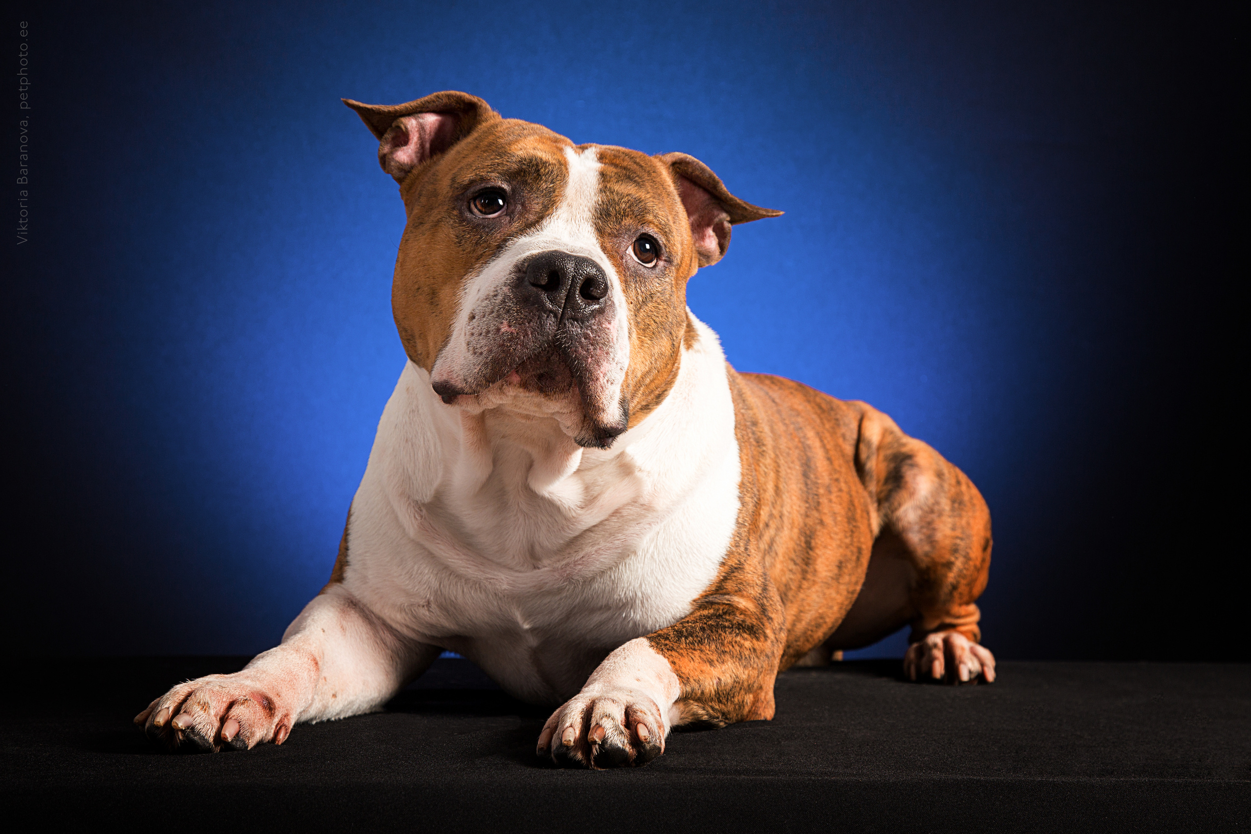 Marianna Kanysheva (3 фото). Фотограф в Таллине Виктория Баранова |фотосессии и обучение / Photographer Viktoria Baranova