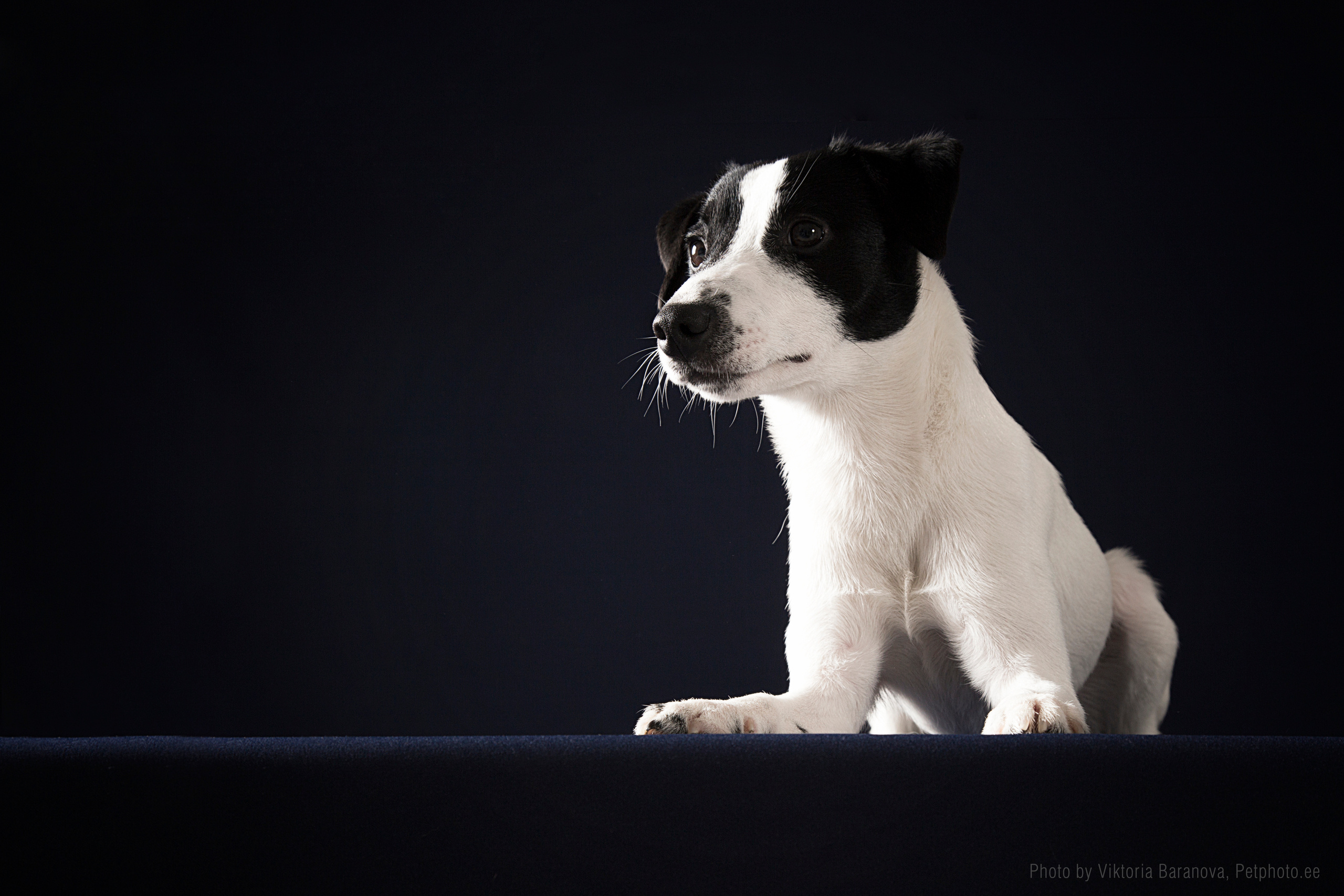 Natalja Garashenko. Фотограф в Таллине Виктория Баранова |фотосессии и обучение / Photographer Viktoria Baranova
