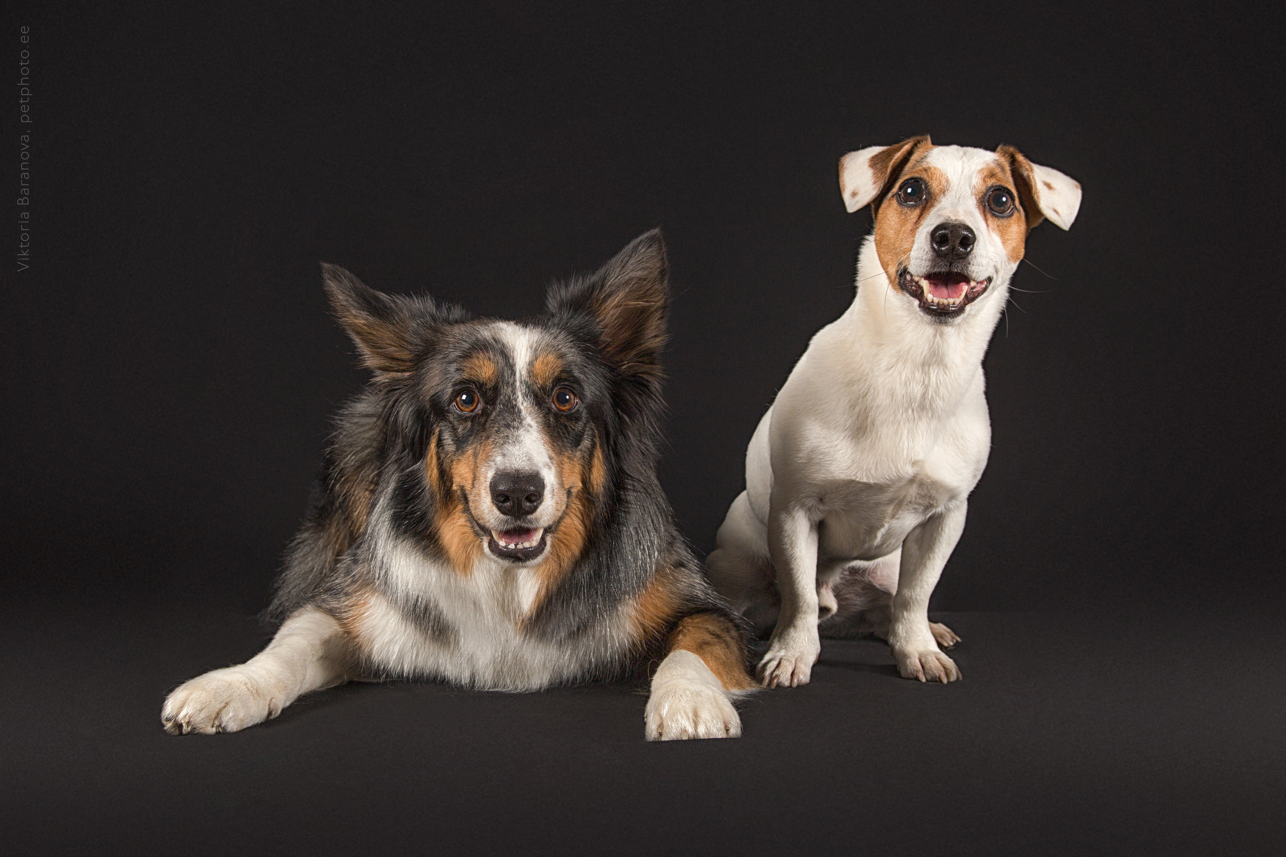 Flame. Фотограф в Таллине Виктория Баранова |фотосессии и обучение / Photographer Viktoria Baranova