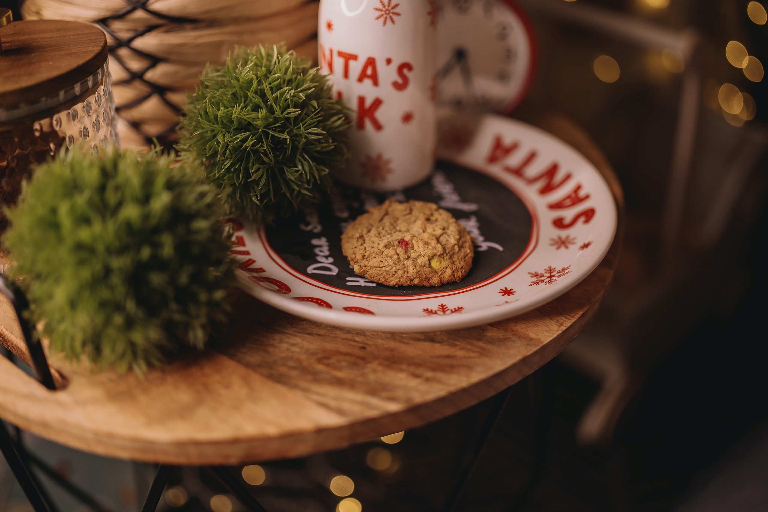 12.08.2025 Christmas Photoshoot. Wedding family event photographer in Chicago Nick Yushevich