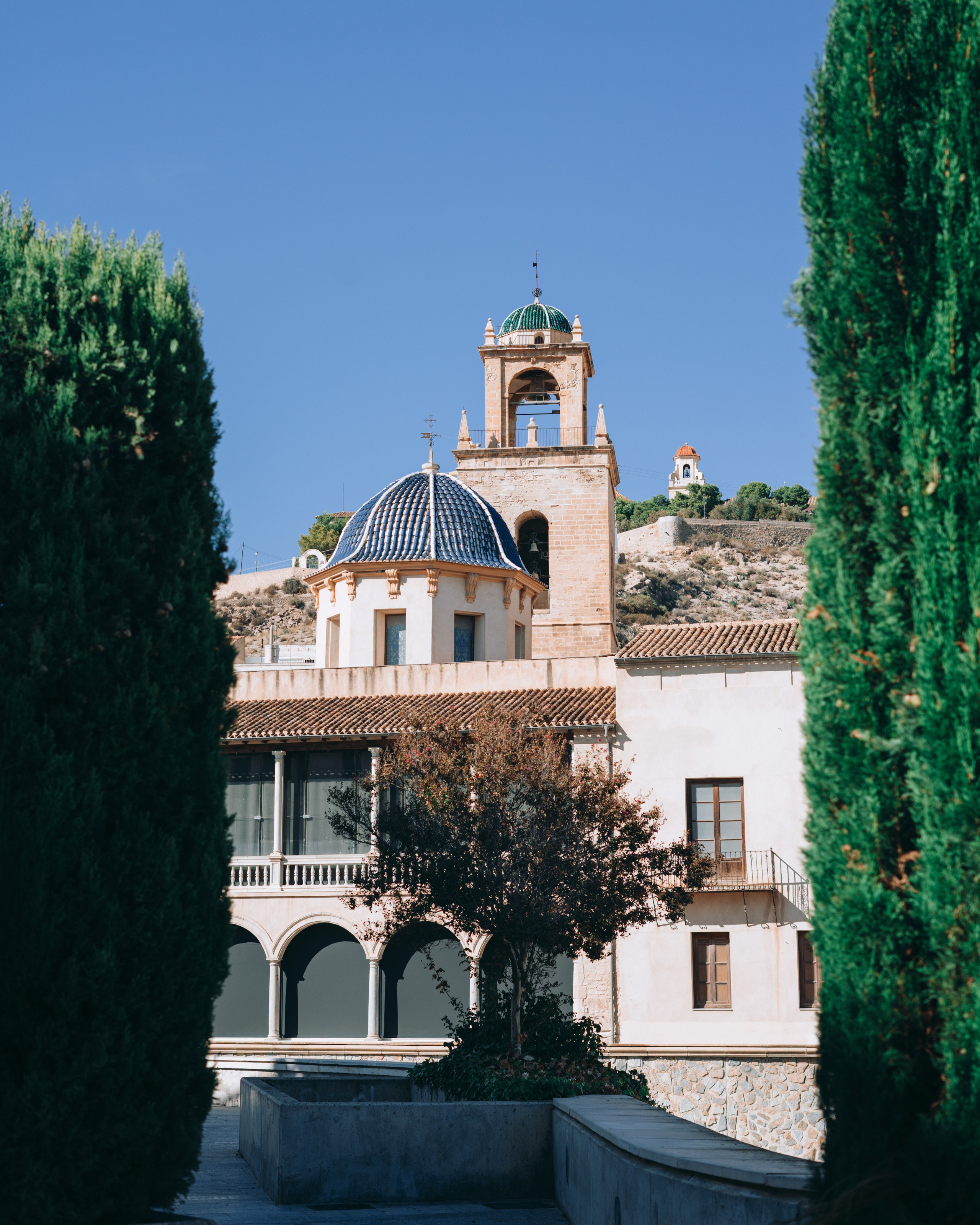 Roaming. Mike Avelli