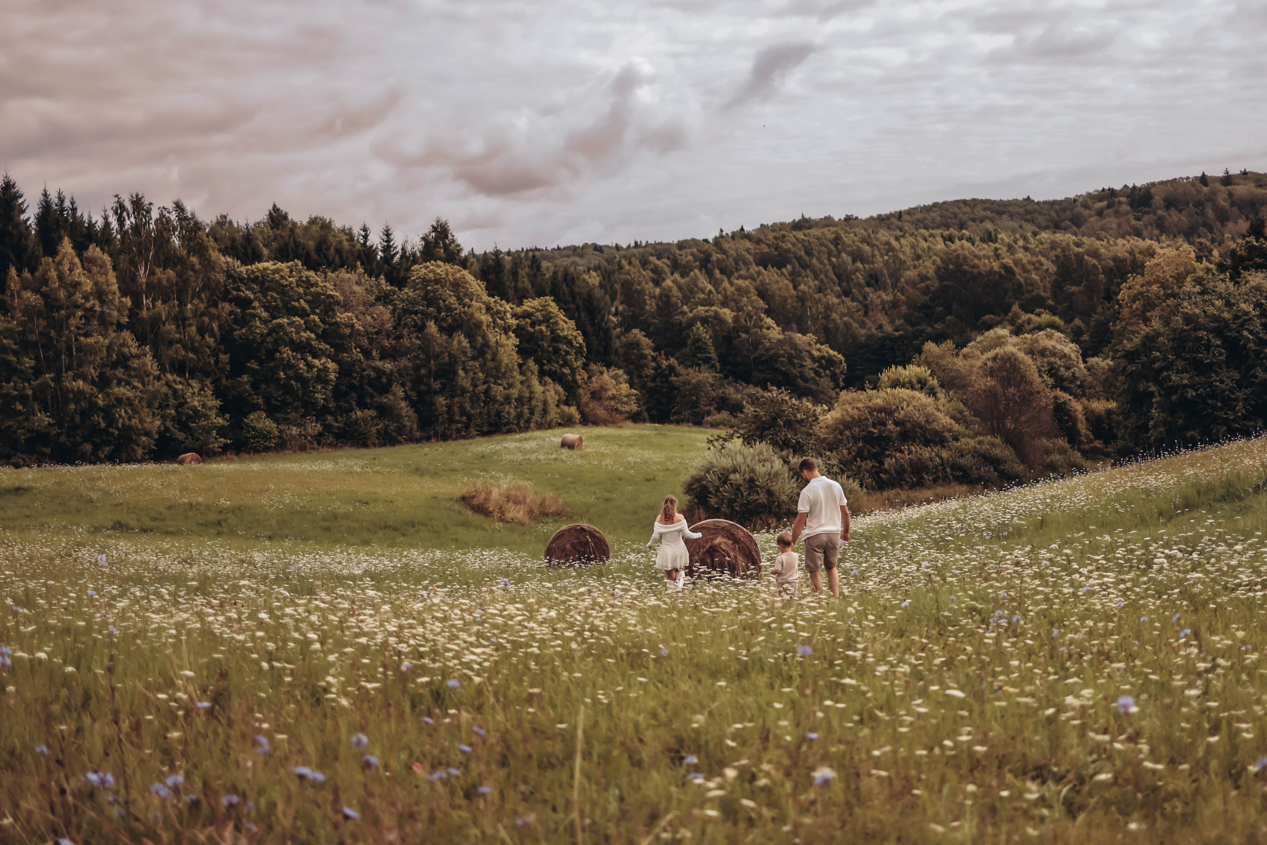 Fields. Photographer Co Dublin, Balbriggan — Agata Maliseva
