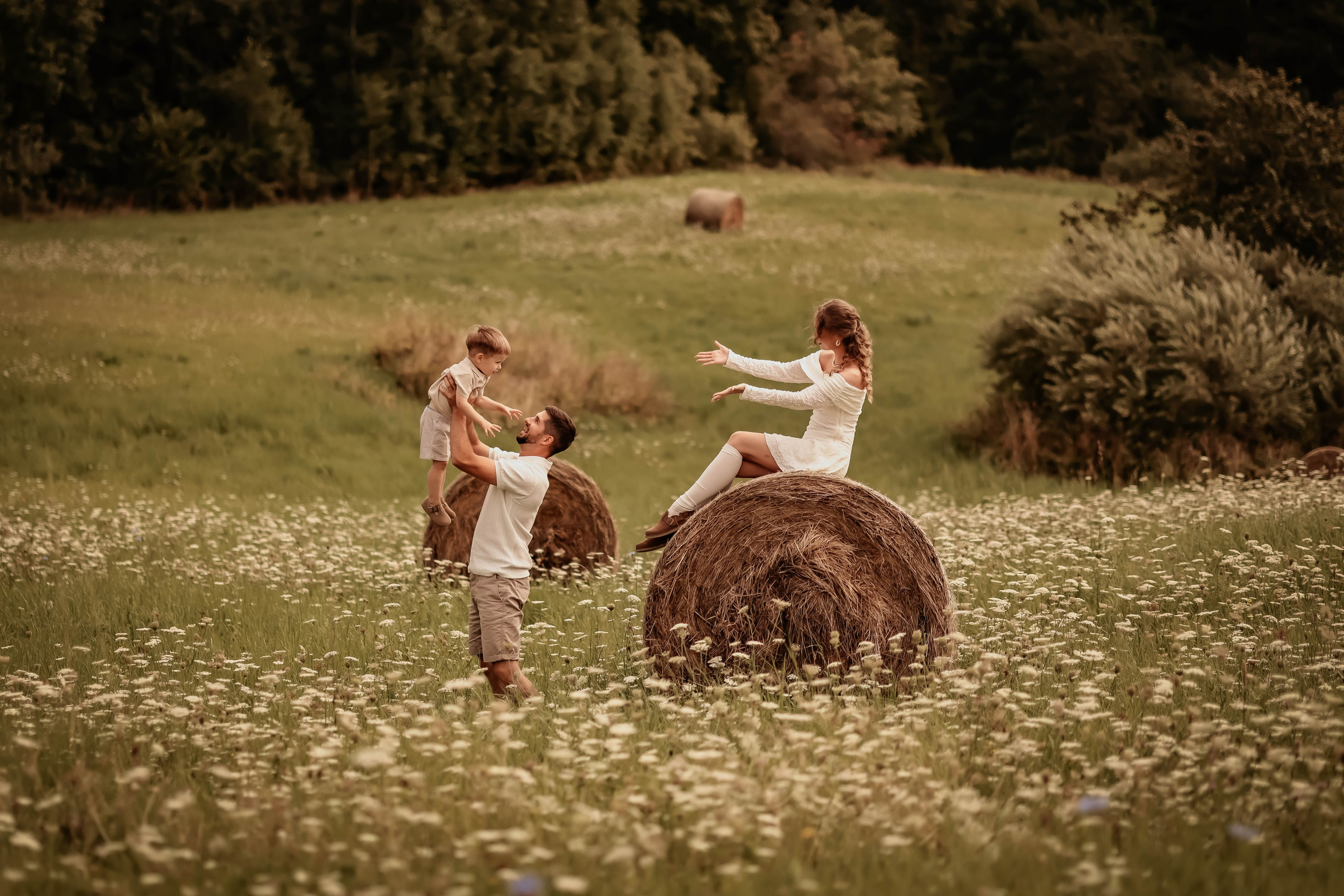Fields. Photographer Co Dublin, Balbriggan — Agata Maliseva