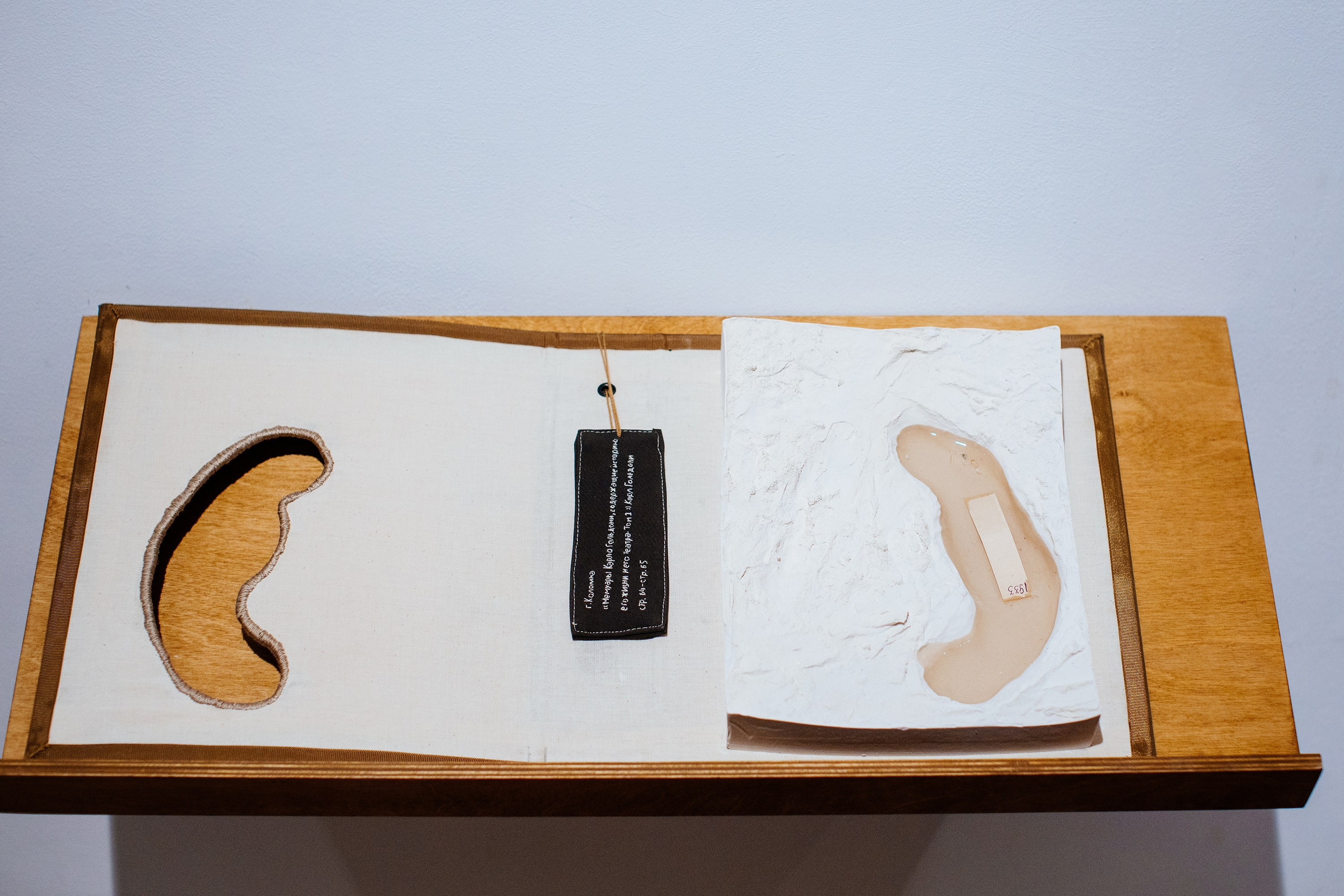 The Worlds i[i] / 2021 — IN-PROGRESS. Daria Goncharova / Conceptual artist