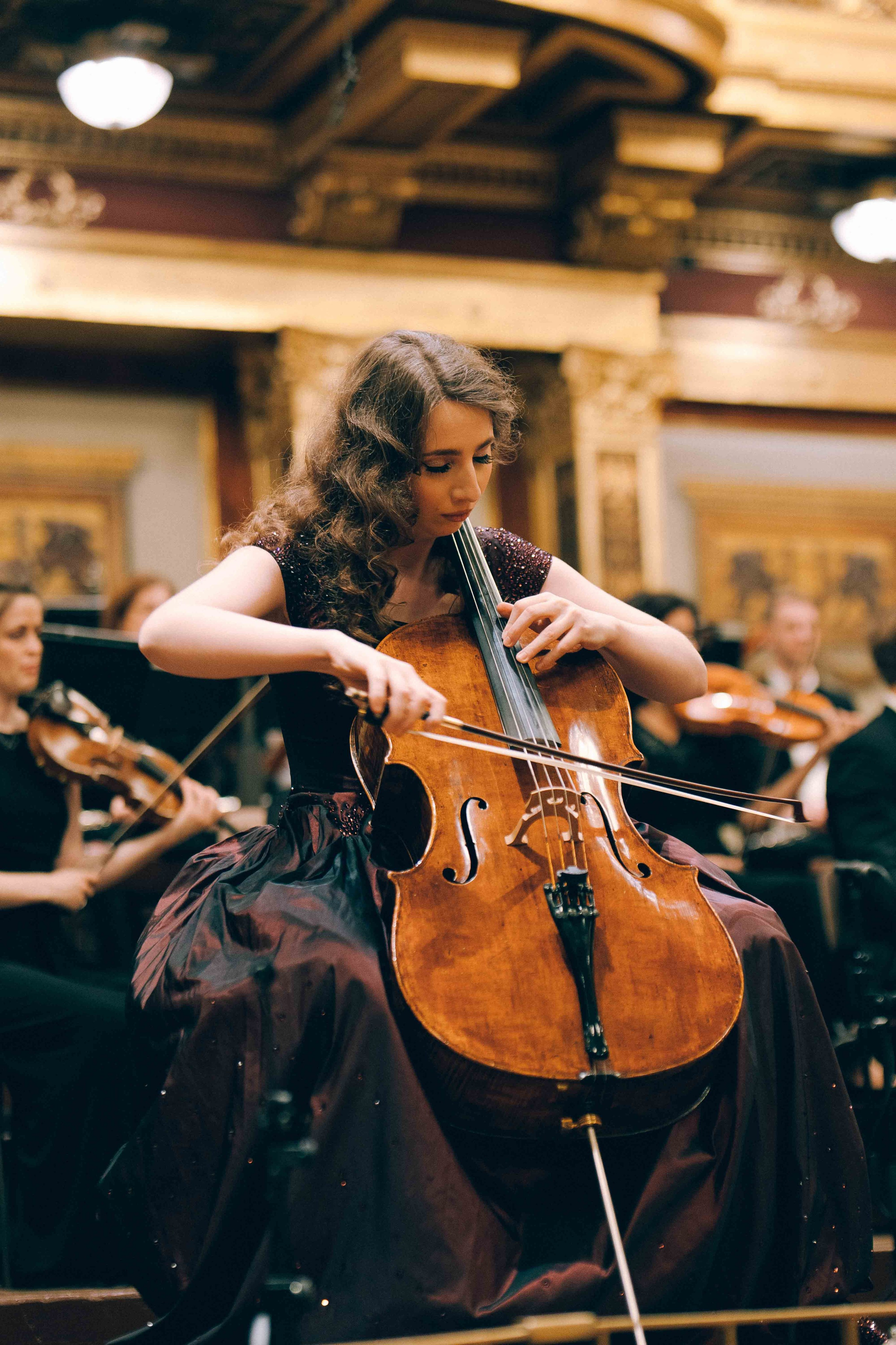 MUSIKVEREIN (VIENNA). Wedding&Event photographer Ismail Rzayev in Baku