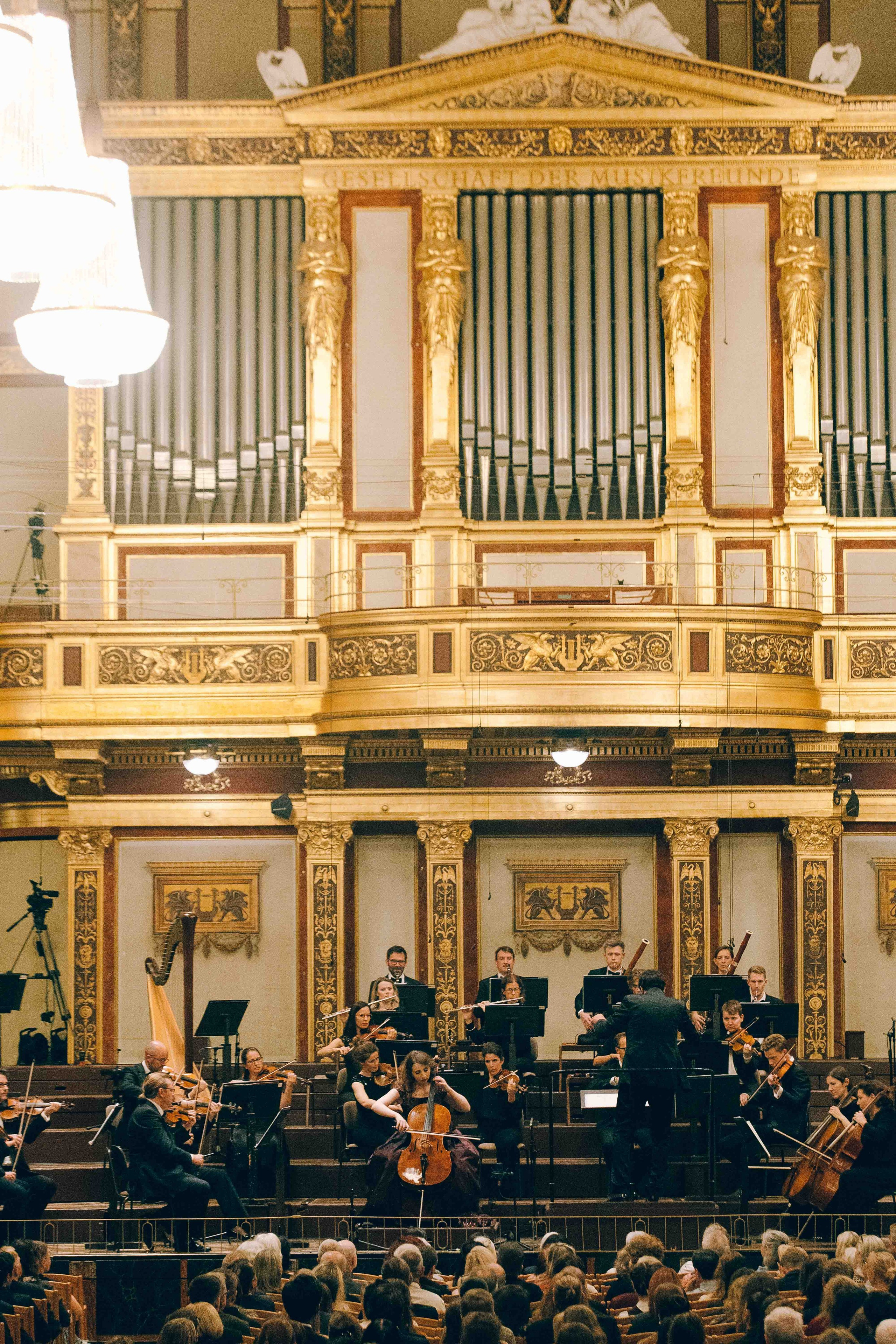 MUSIKVEREIN (VIENNA). Wedding&Event photographer Ismail Rzayev in Baku