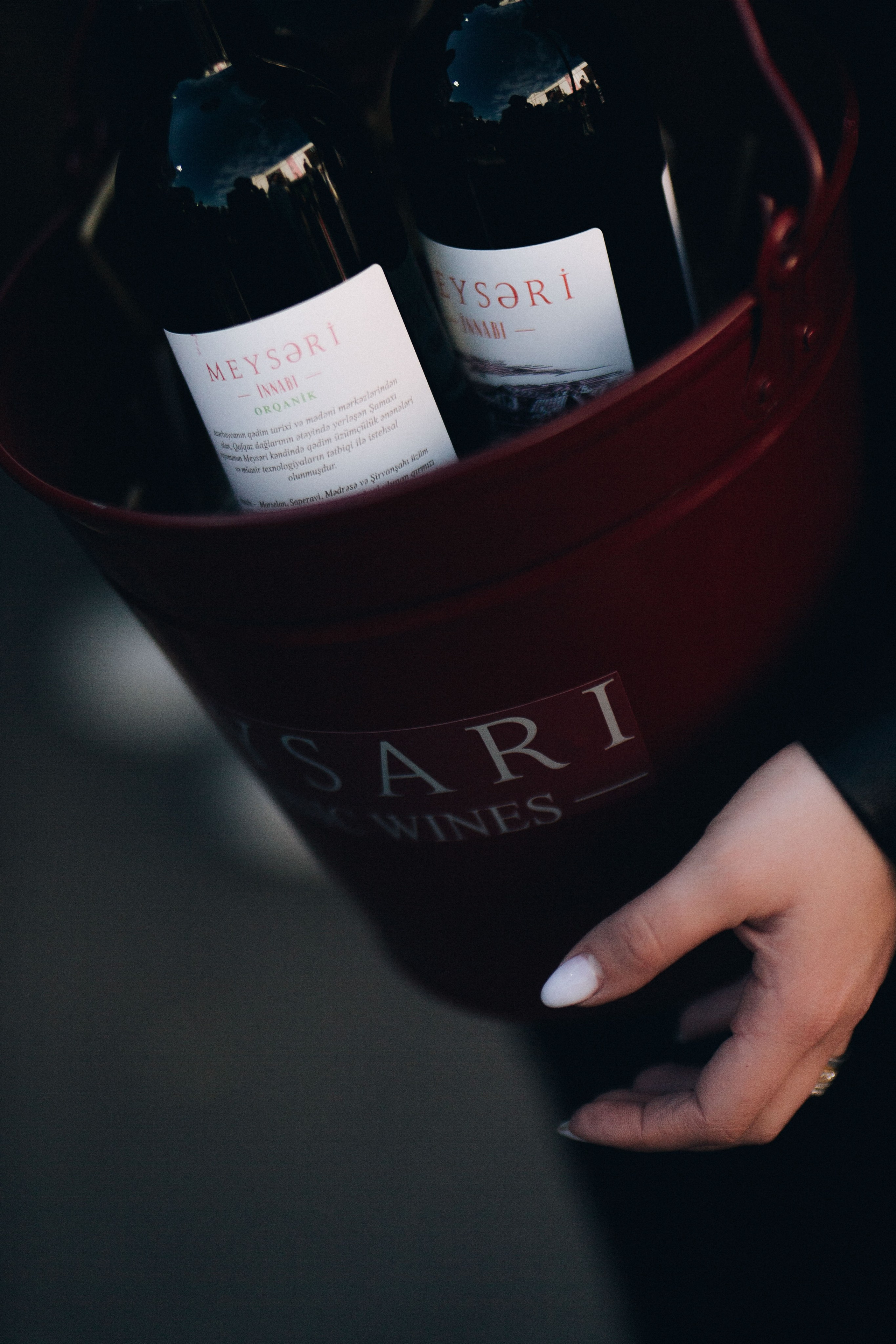 MEYSARI WINE FESTIVAL. Wedding&Event photographer Ismail Rzayev in Baku