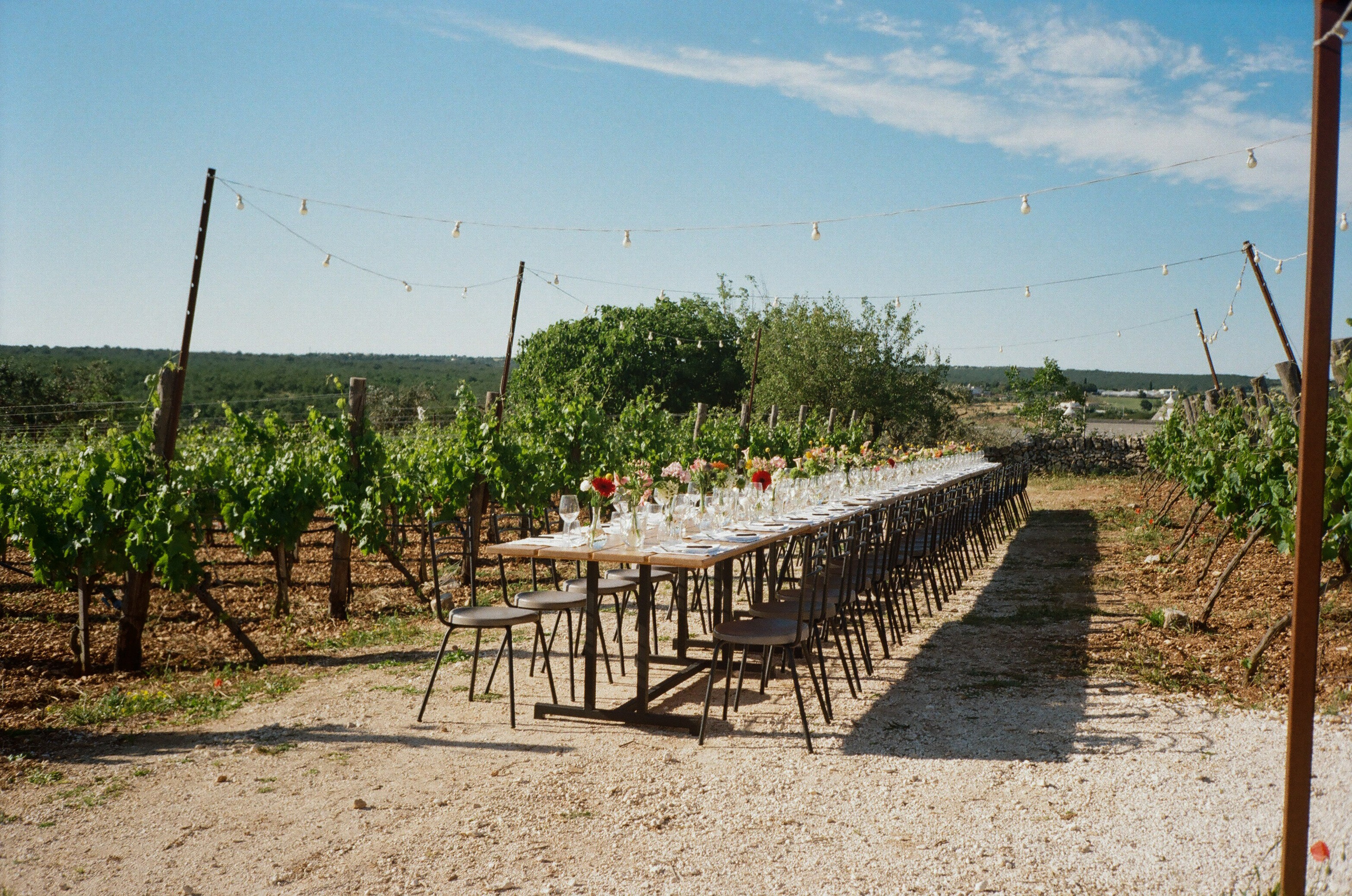 Stephanie & Christian film photos. Весільний фотограф Вікторія Саврук