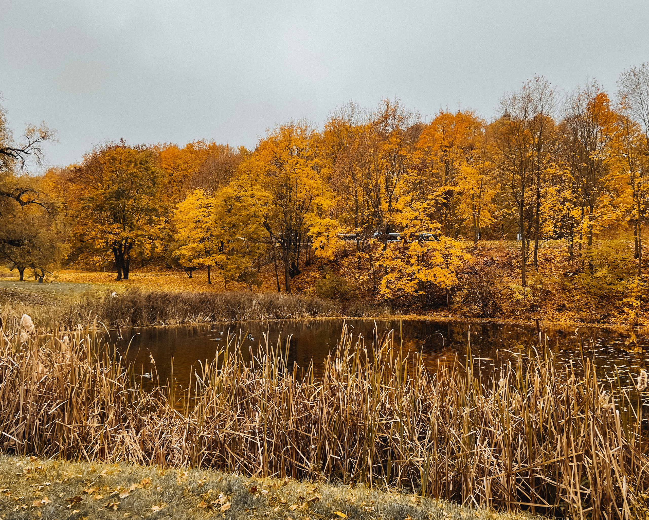 Best Autumn Photoshoot Locations in Vilnius: Top Spots to Capture the Fall Colors. Framed by Evelina | Destination Wedding Photographer from Lithuania | Europe