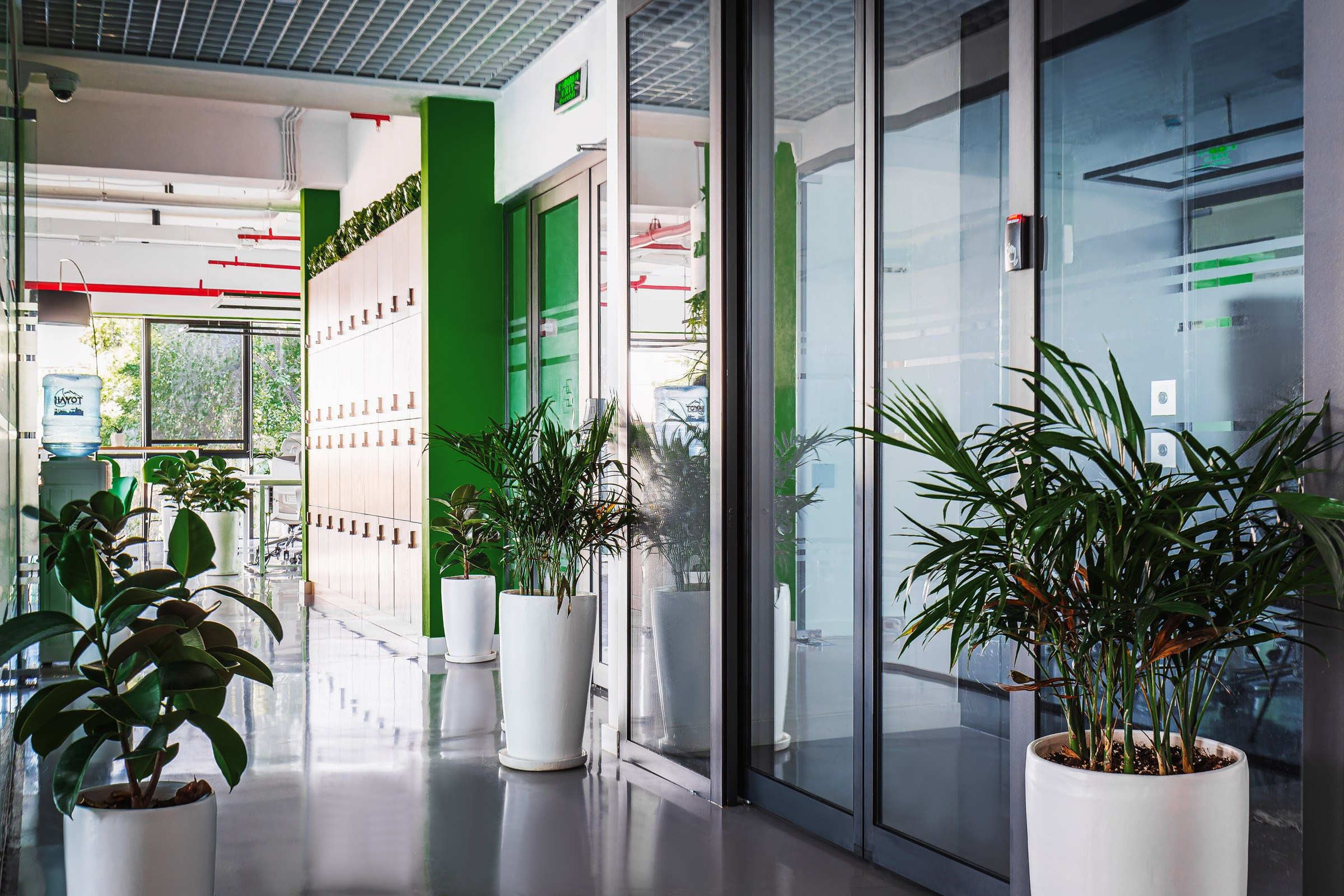 Интерьерный фотограф ташкент узбекистан