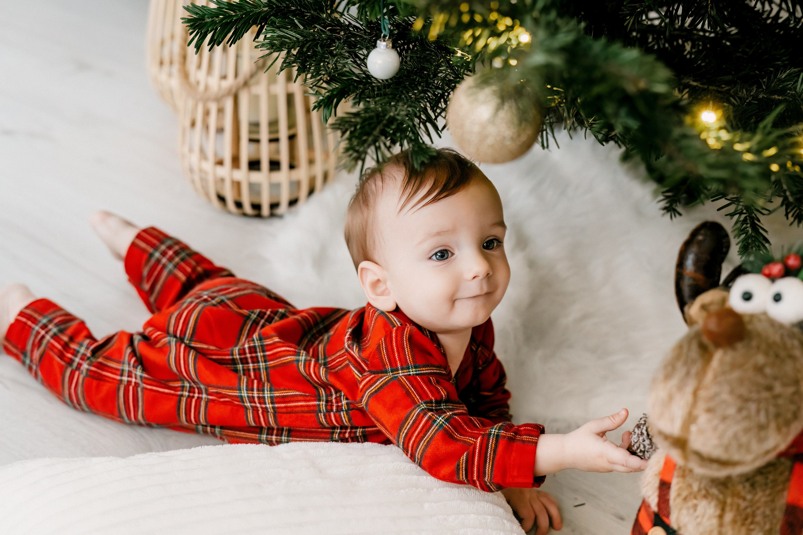 Ducuții — Crăciun. Dara Lens | The art of remembering