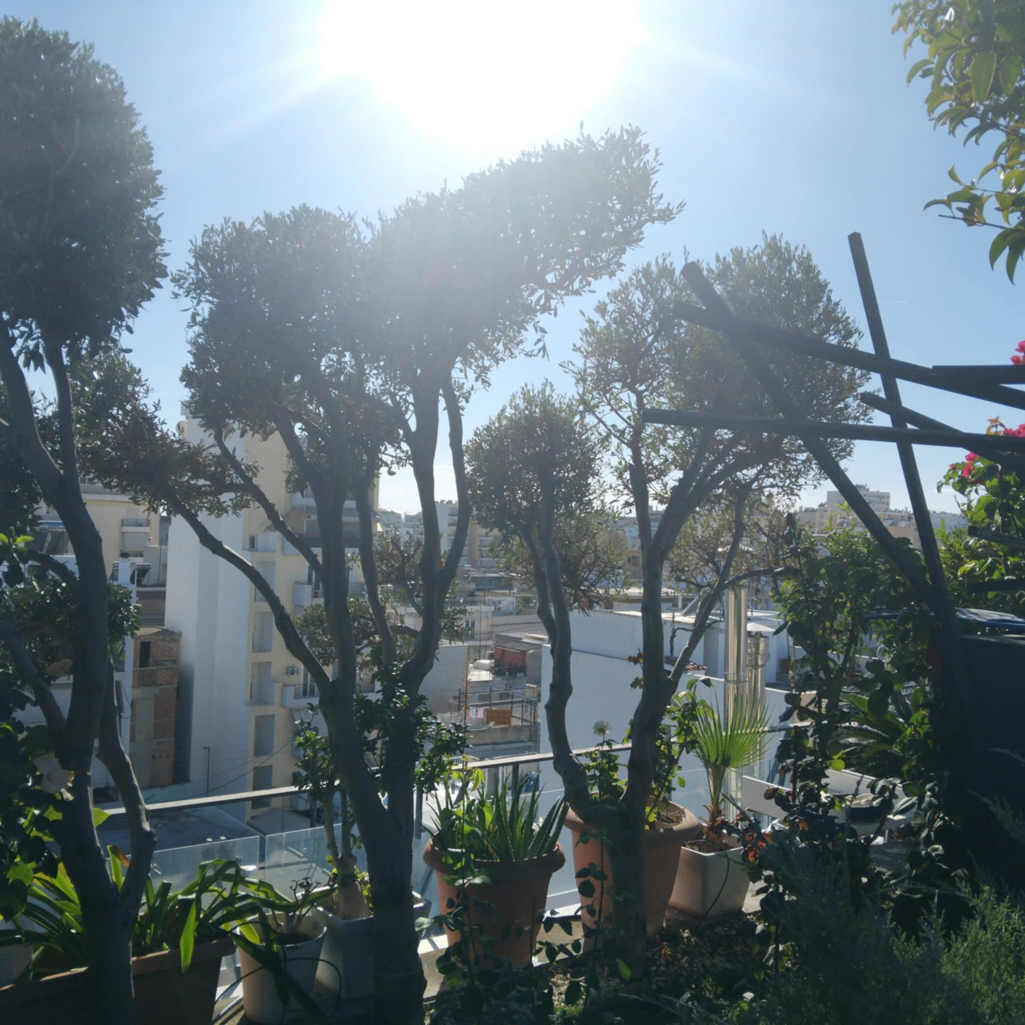 Κήπος Πειραιά. Geoponitikon-Όταν η Επιστήμη συναντά την Τέχνη στο Φυσικό Τοπίο!