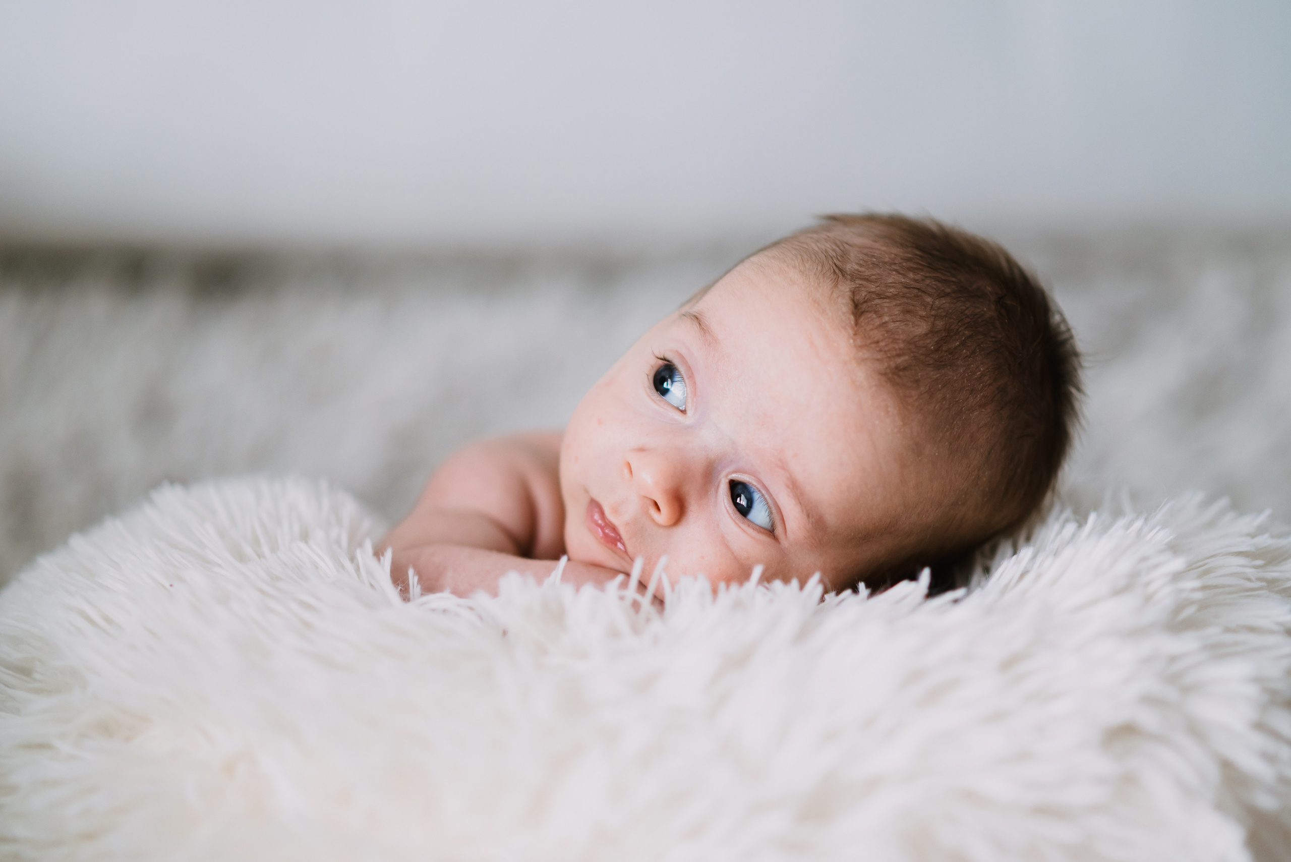 Teodor Mihai. Giani Maftei