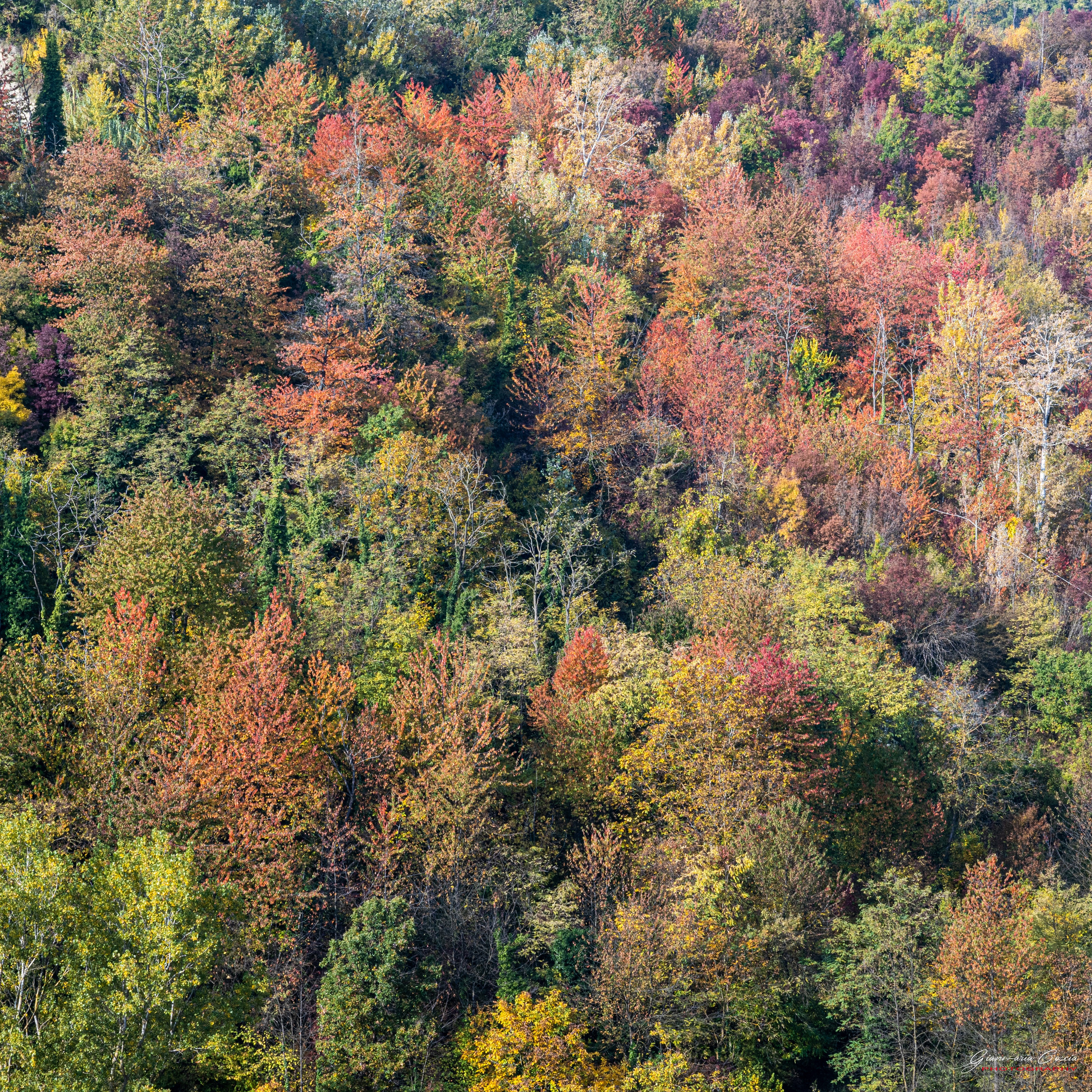 Langhe. “Gianmaria Coscia fotografo per passione”