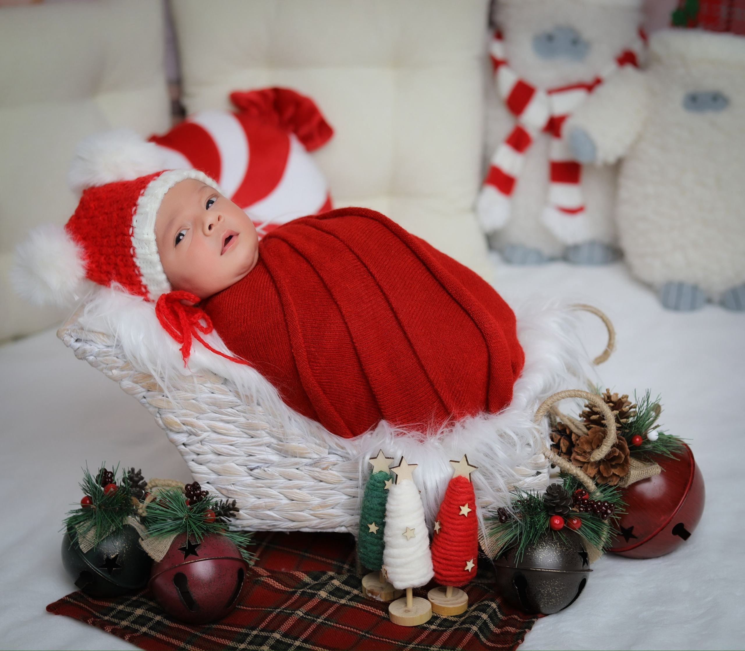 Newborn. AP Lens Photography | Newborn, Maternity, Milestone & Family Photographer Little Elm TX