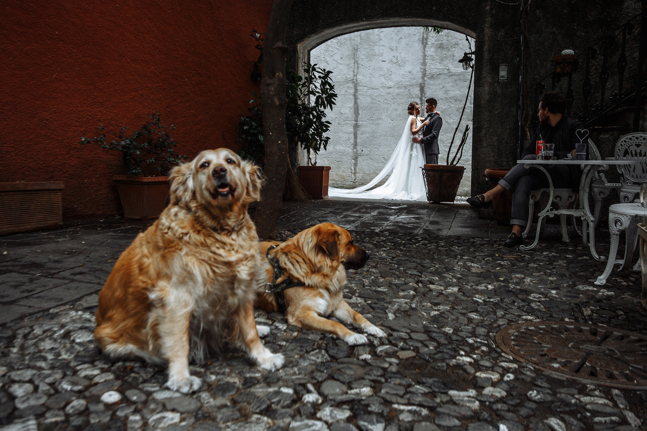 Alina e Ruslan, Portofino