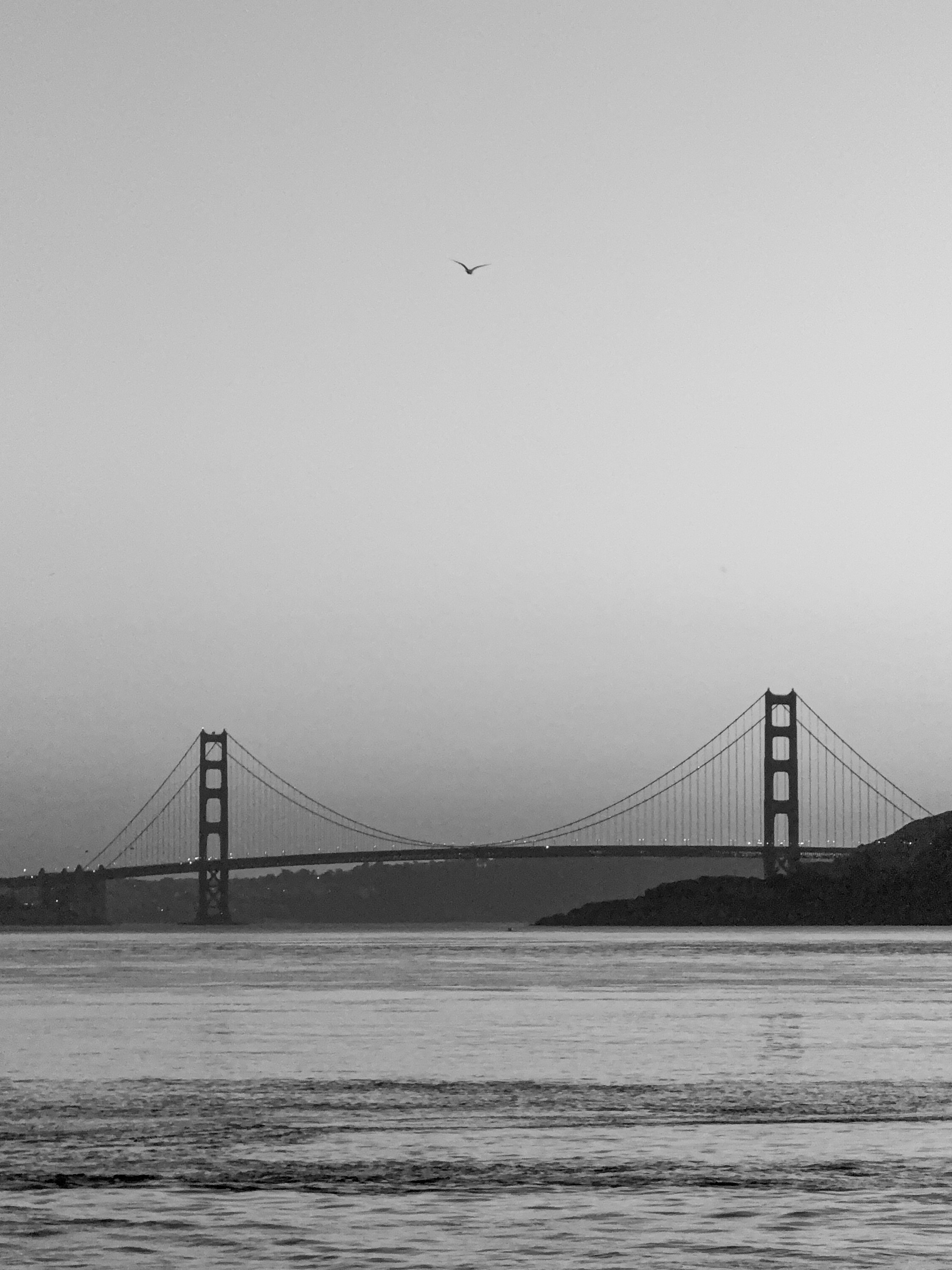 San Francisco. Aleks.photo | Book a photoshoot