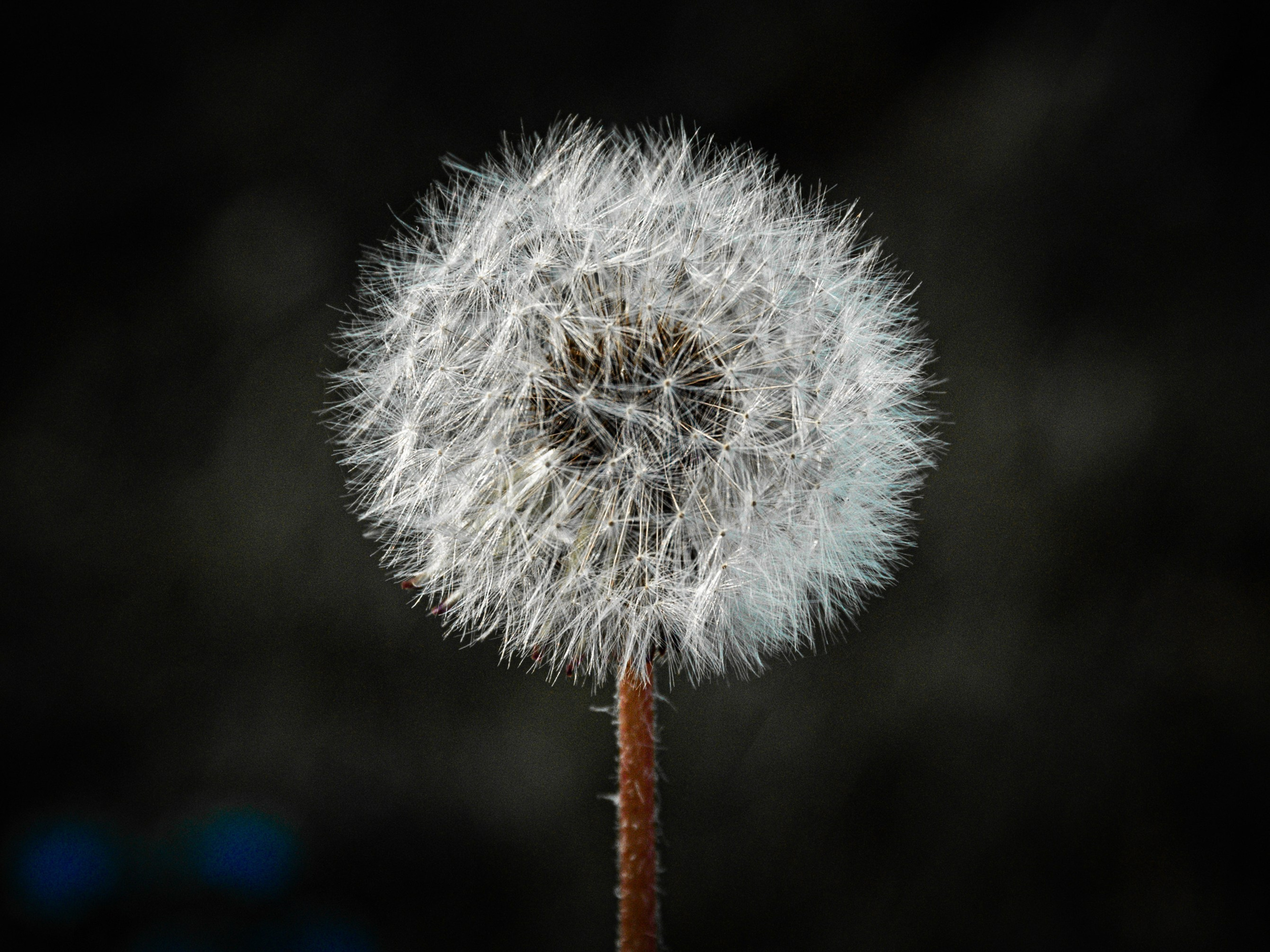 Portret bebeluș la botez realizat de Mitroi Iulian