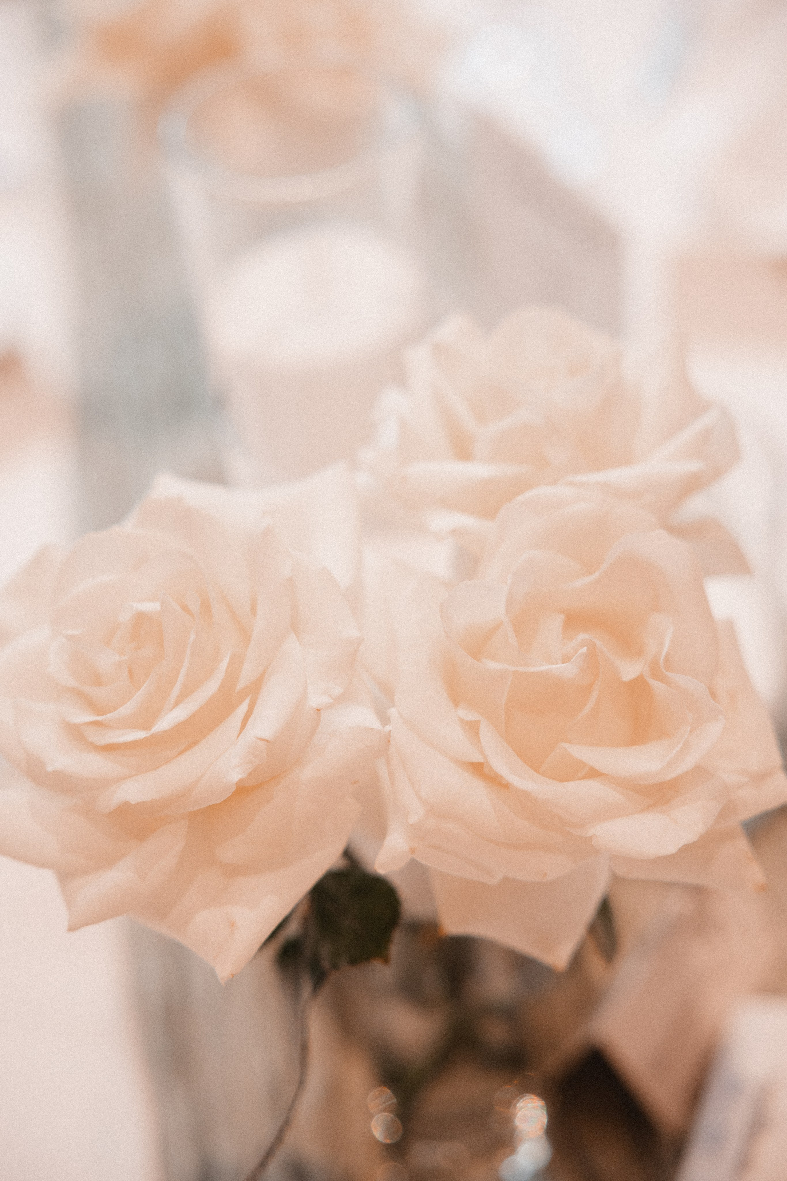 Lena & Philip | Schloss Bladenhorst, Castrop-Rauxel. Hochzeitsfotografin Bochum | Halyna Reiche Fotografie NRW