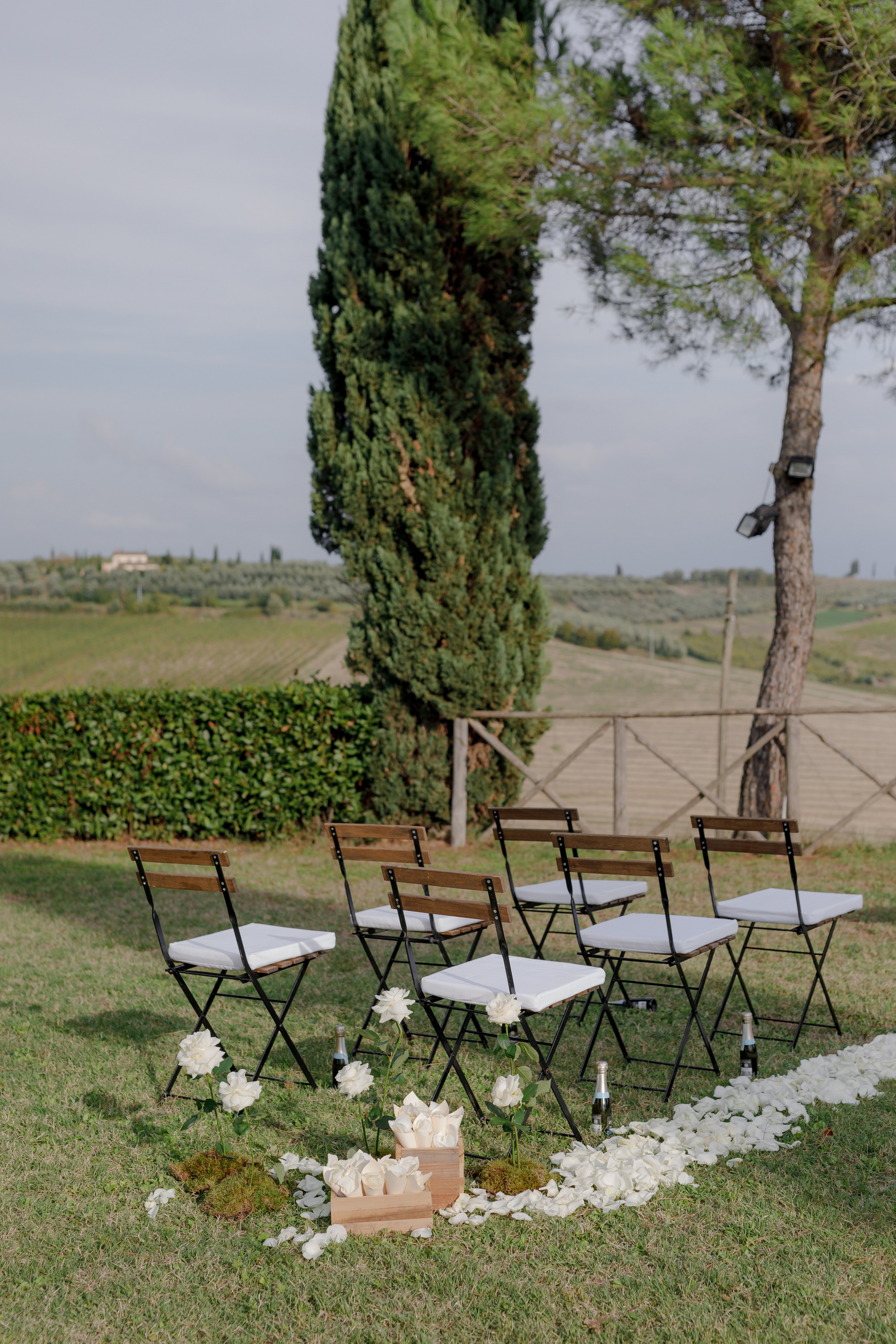 Dom&Ally. Весільний фотограф Вікторія Саврук