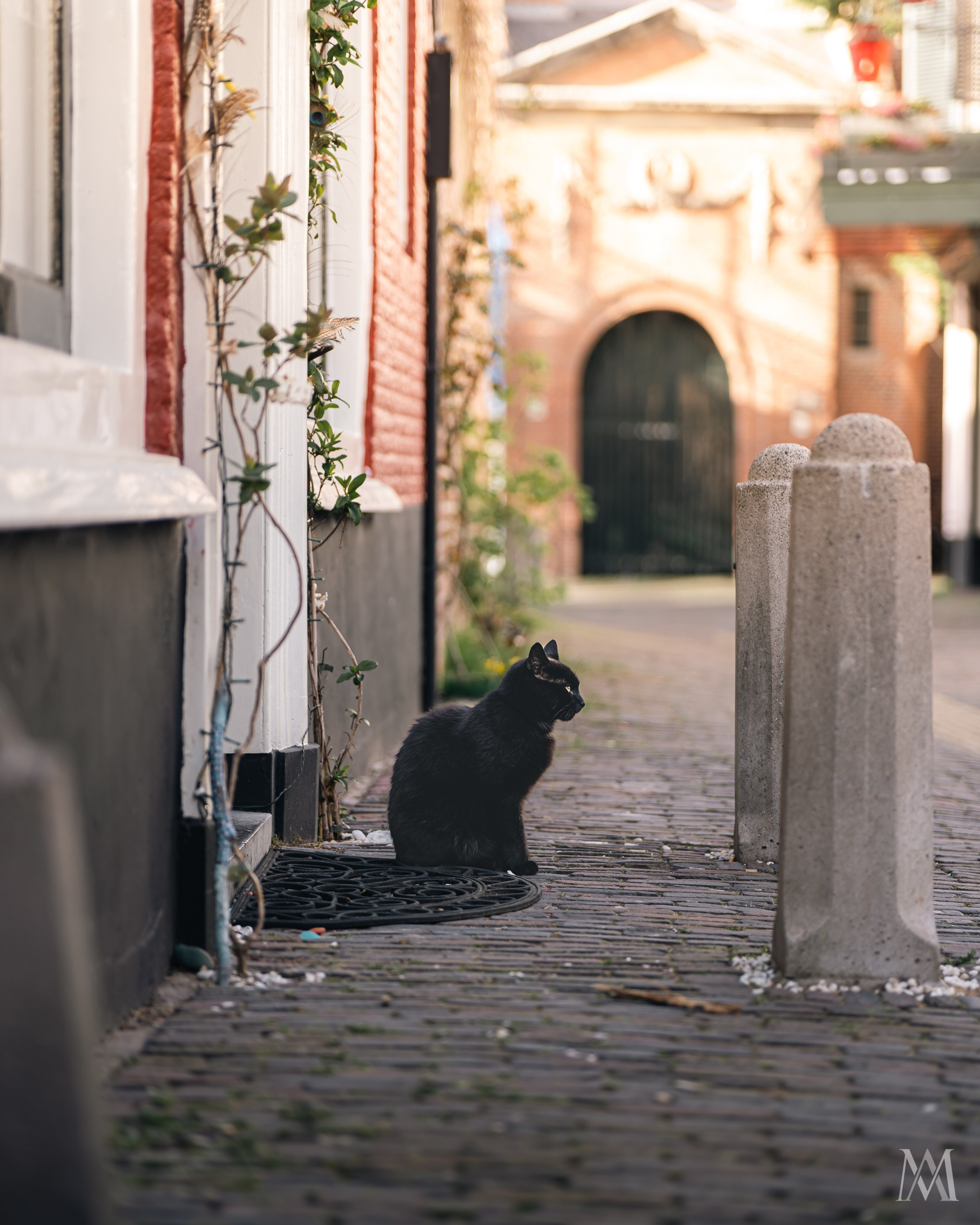 NETHERLANDS. MA Visuals — Fotografia e Vídeo