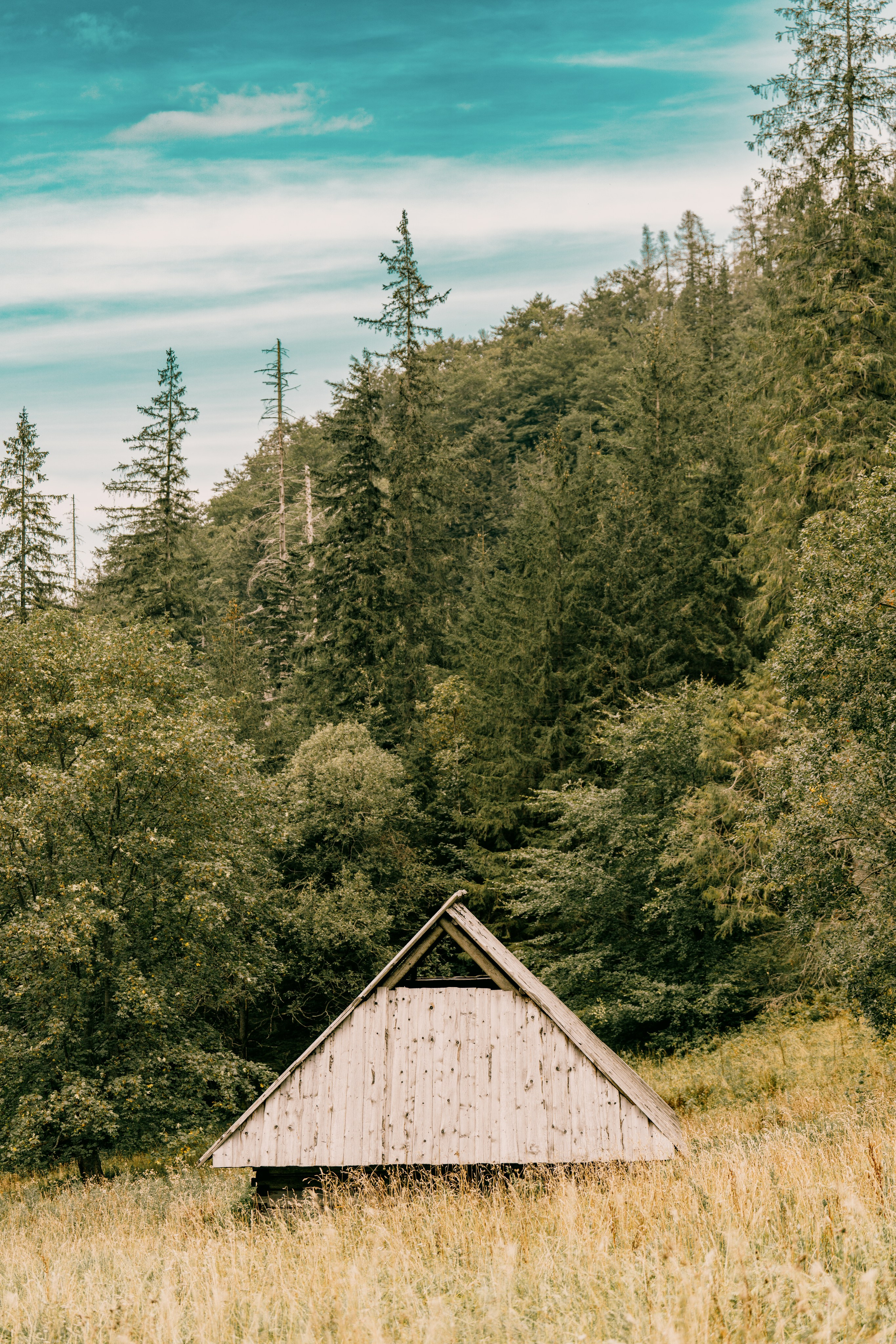 Landscape. Fotograf Poznan