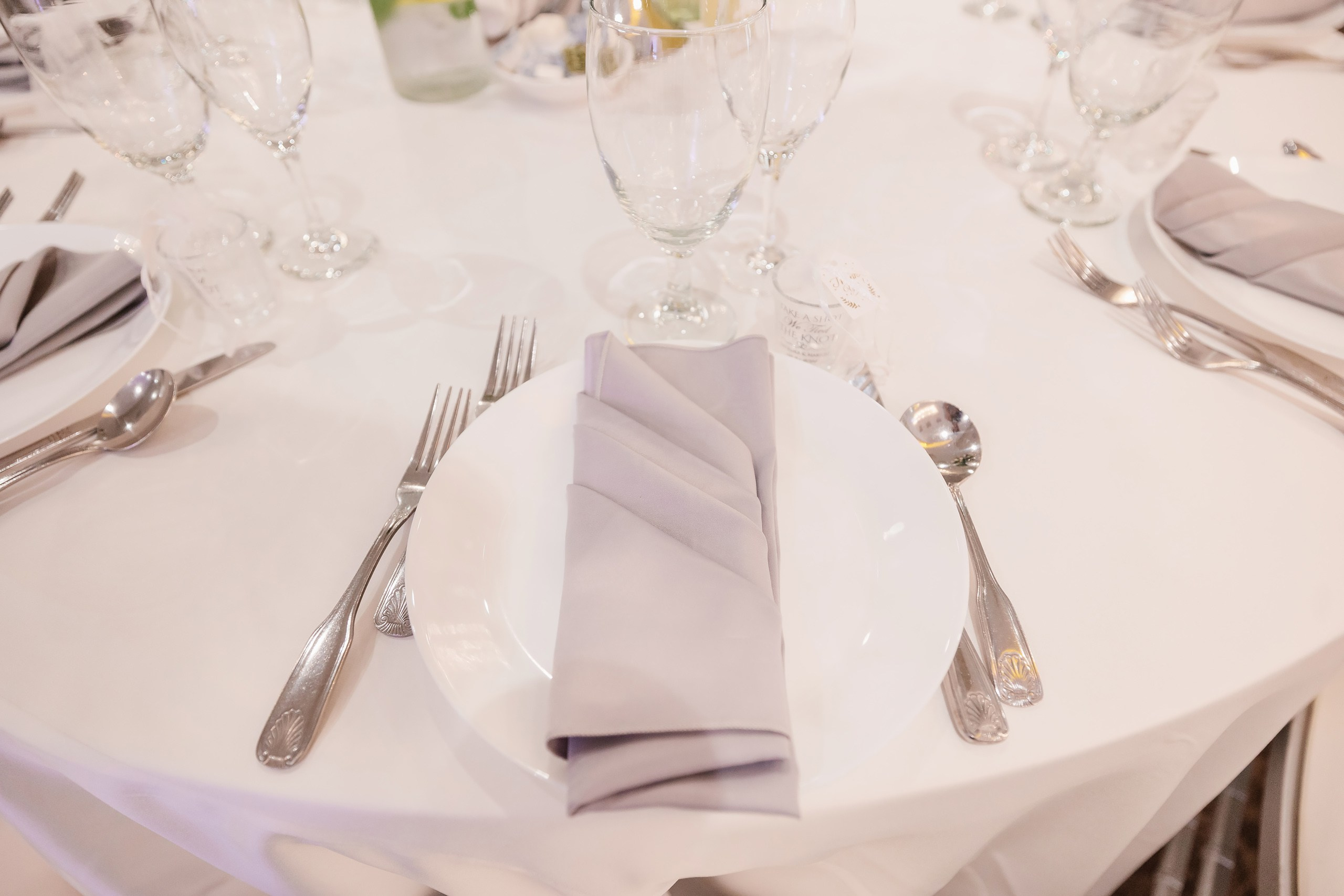 31.08.2024 Wedding. Wedding family event photographer in Chicago Nick Yushevich