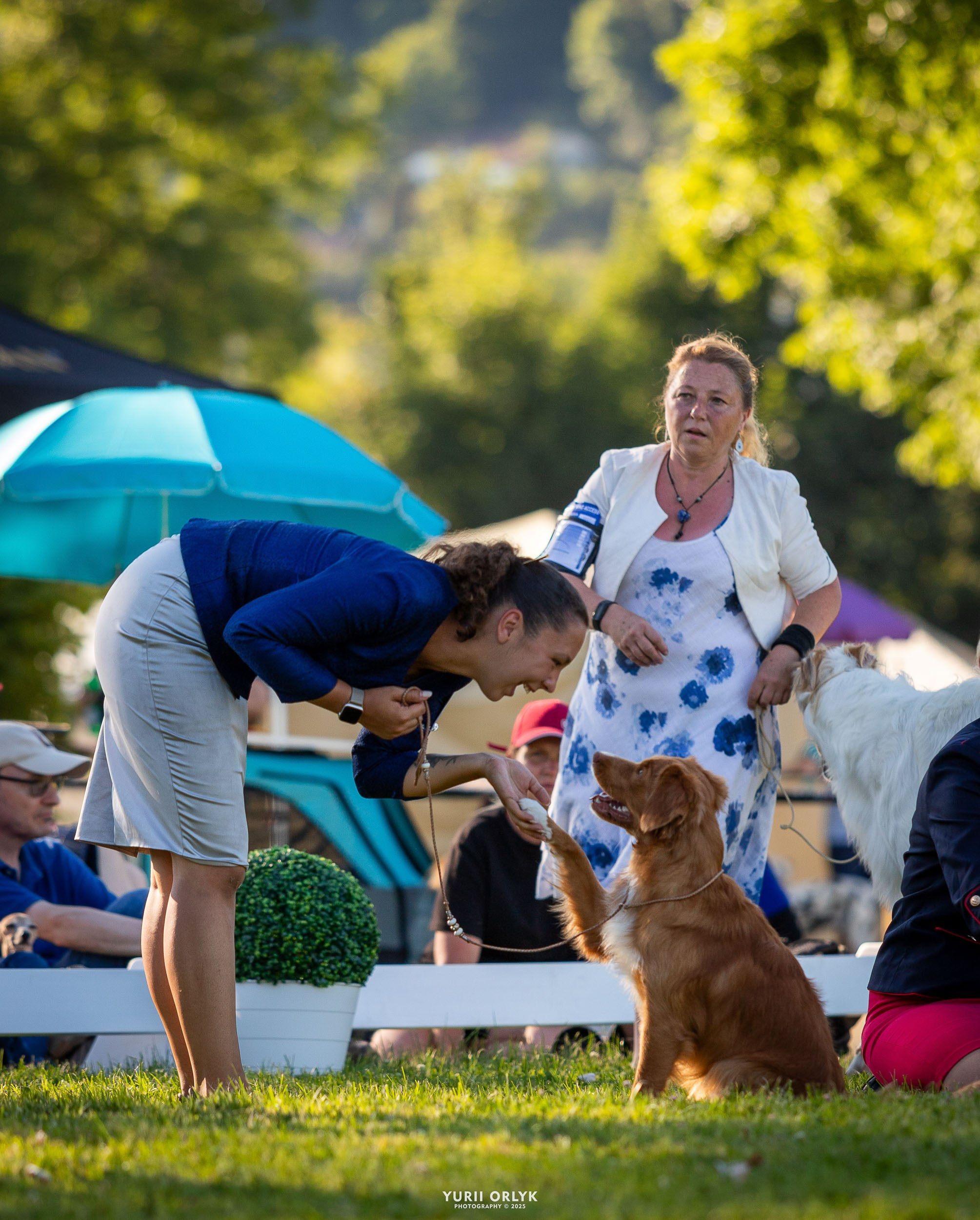 Dog Shows. Yurii Orlyk Photography