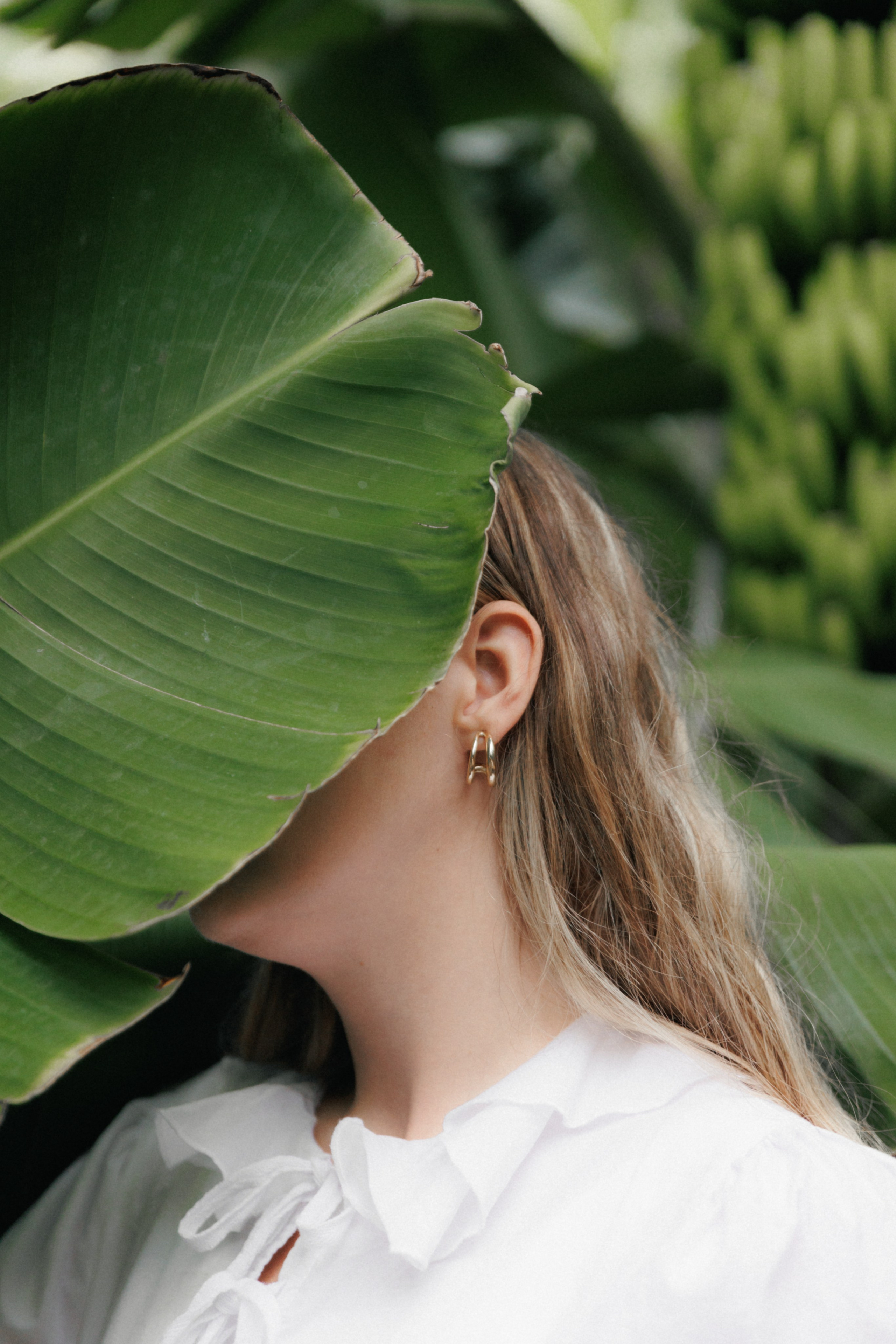 Lost in Madeira. Patricia Morenci — Mountain Adventures for the Wild at Heart