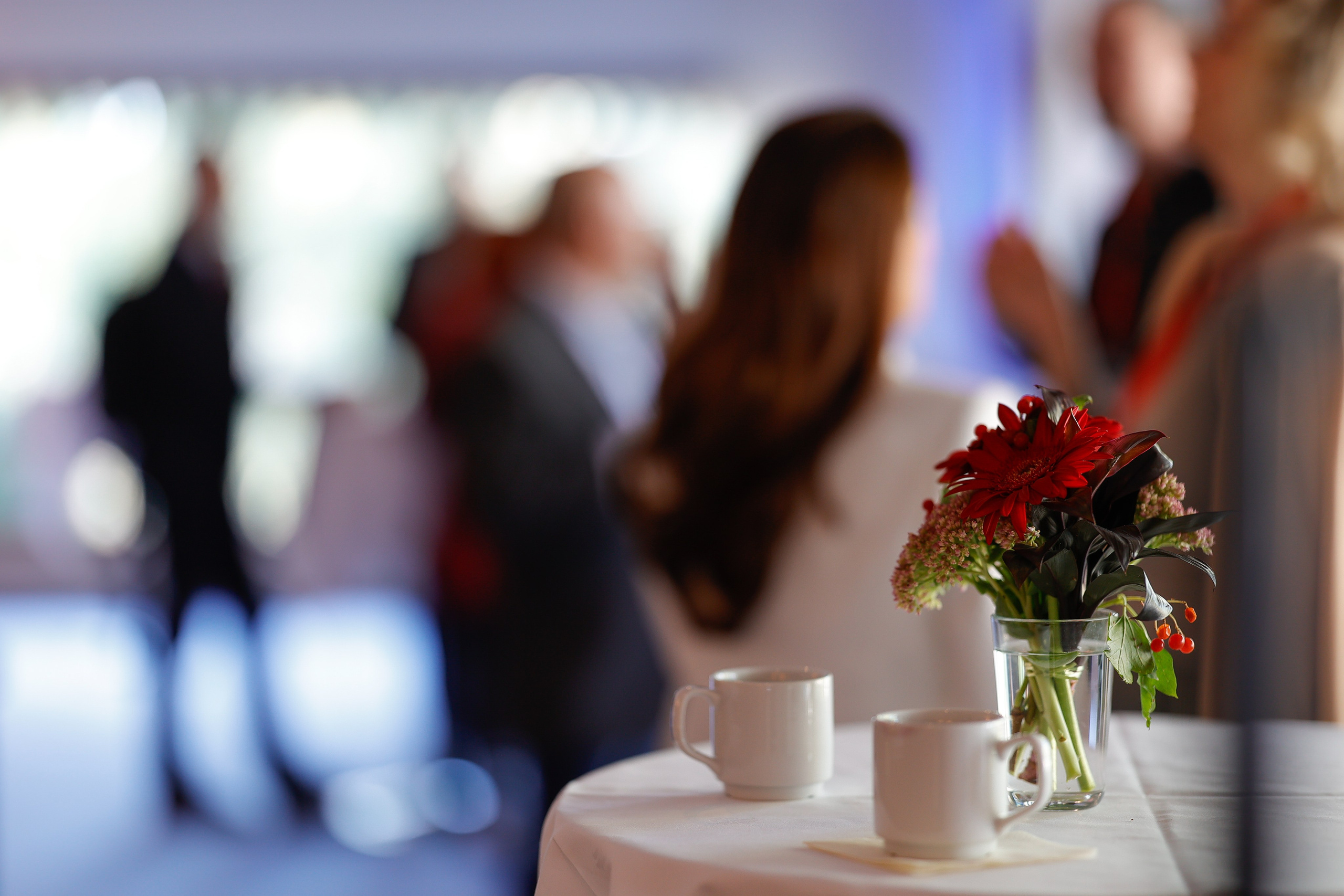 Conferences. Photographer Marina Gargi