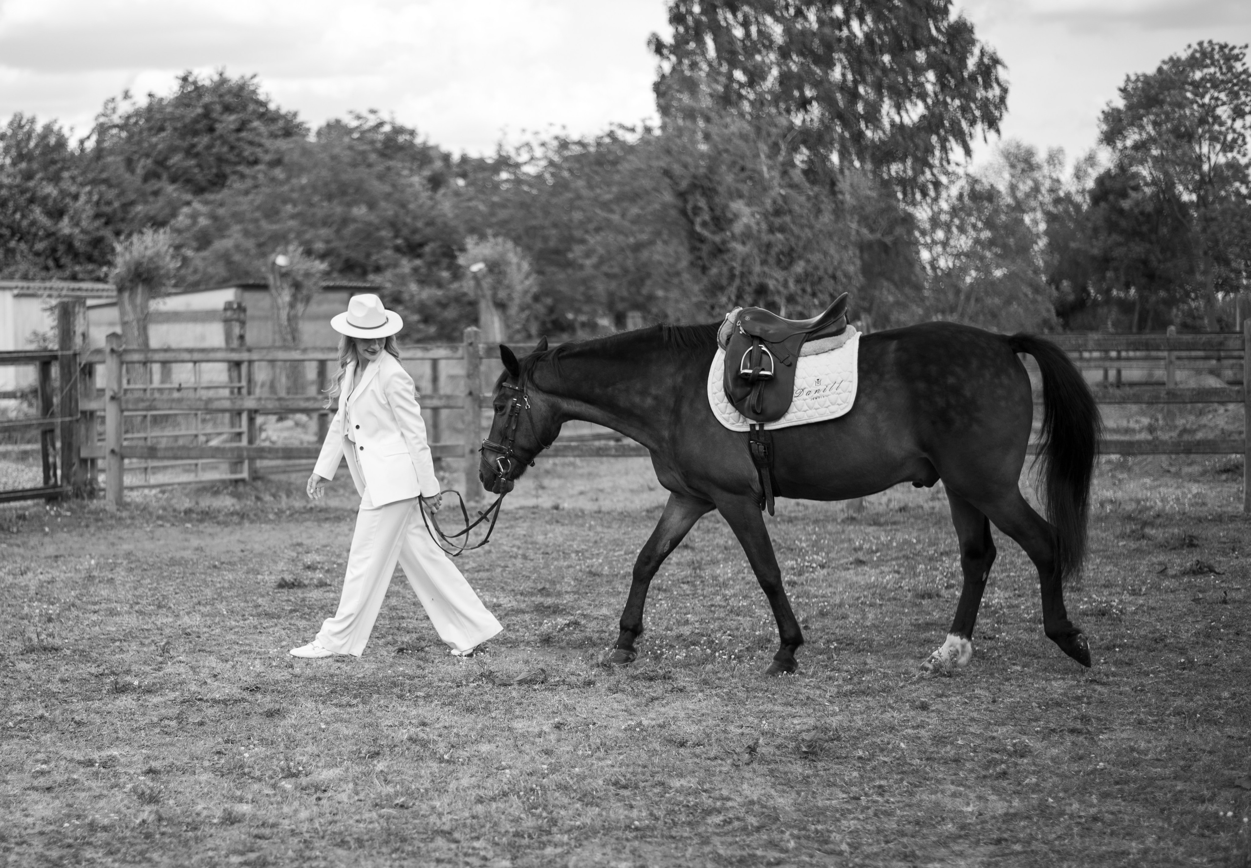 Photoshoot with Horses. Professional Photograher, Antwerpen/Belgium