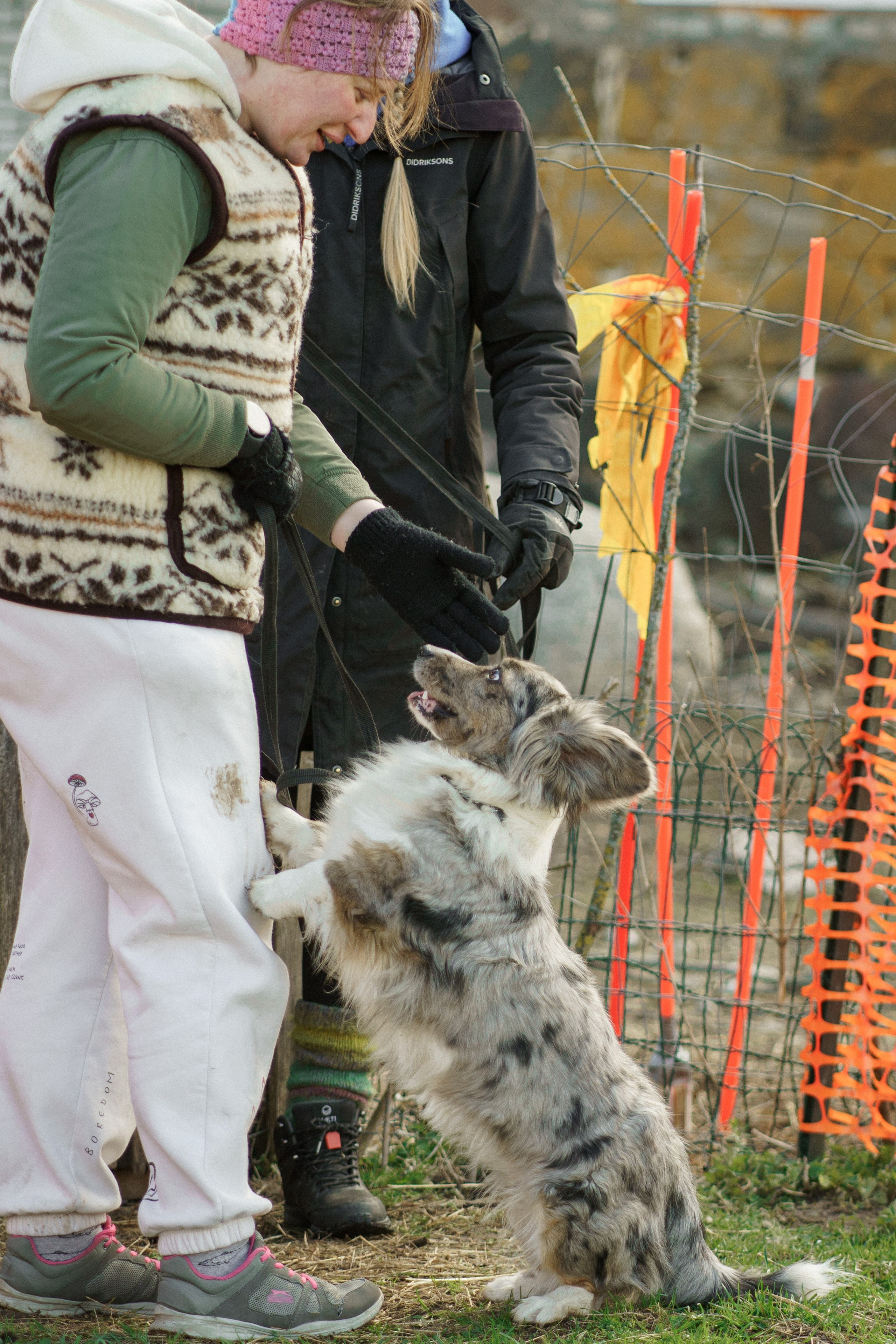 Herding Days, 26 apr. 2025. Kat Laisaar — Pet photographer in Tallinn