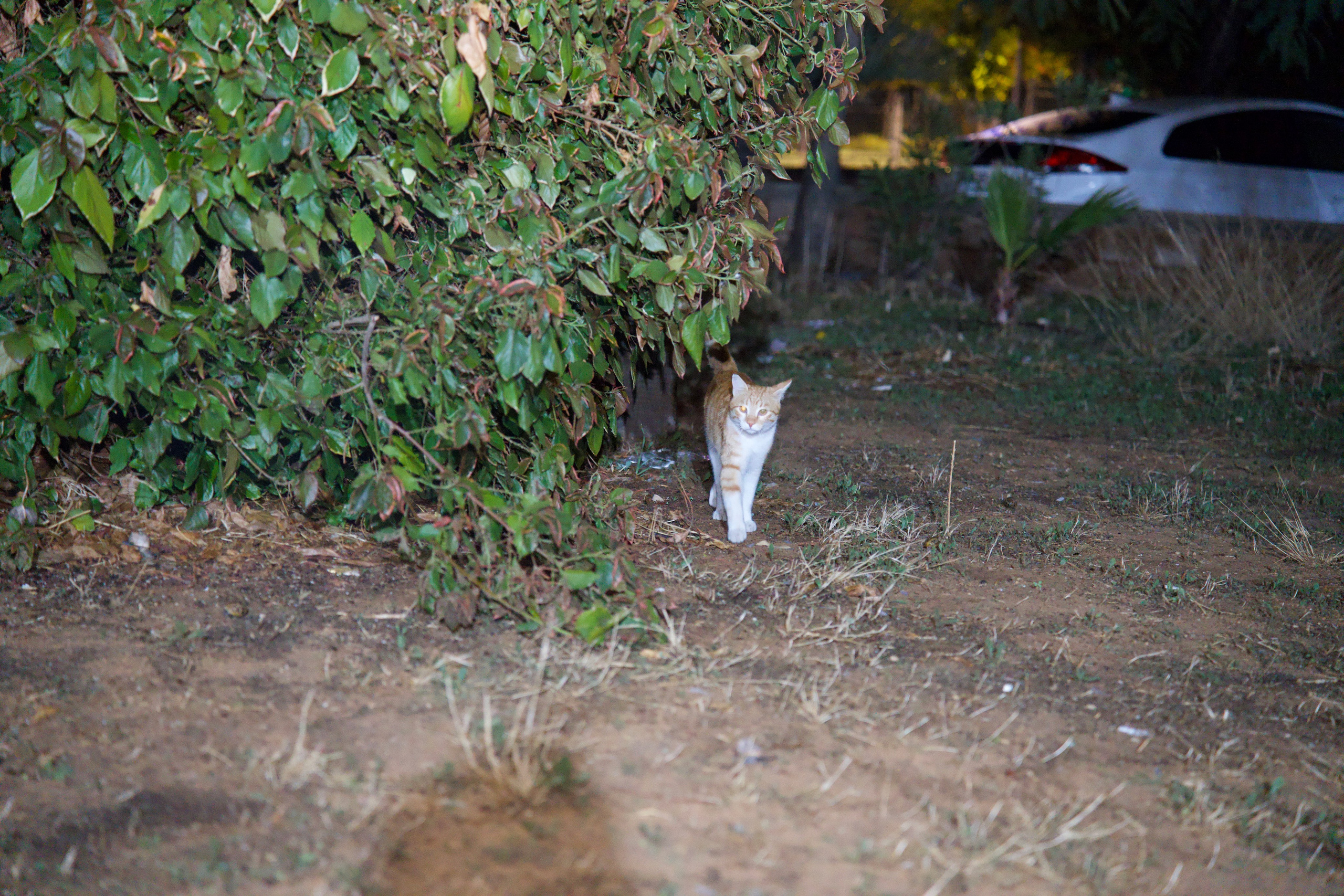 Everything from everything