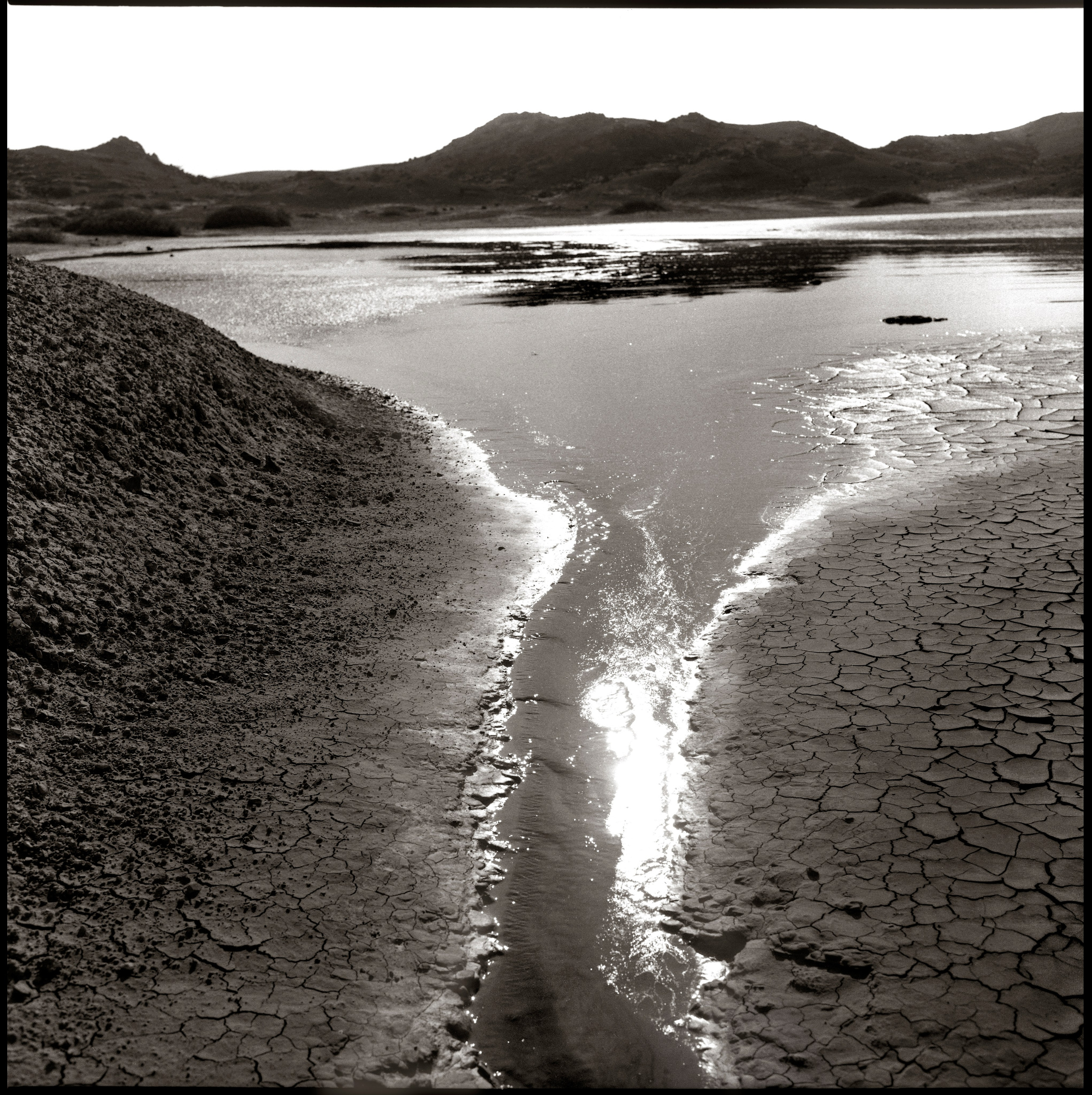 NATURE. Www.sananaleskerov.com