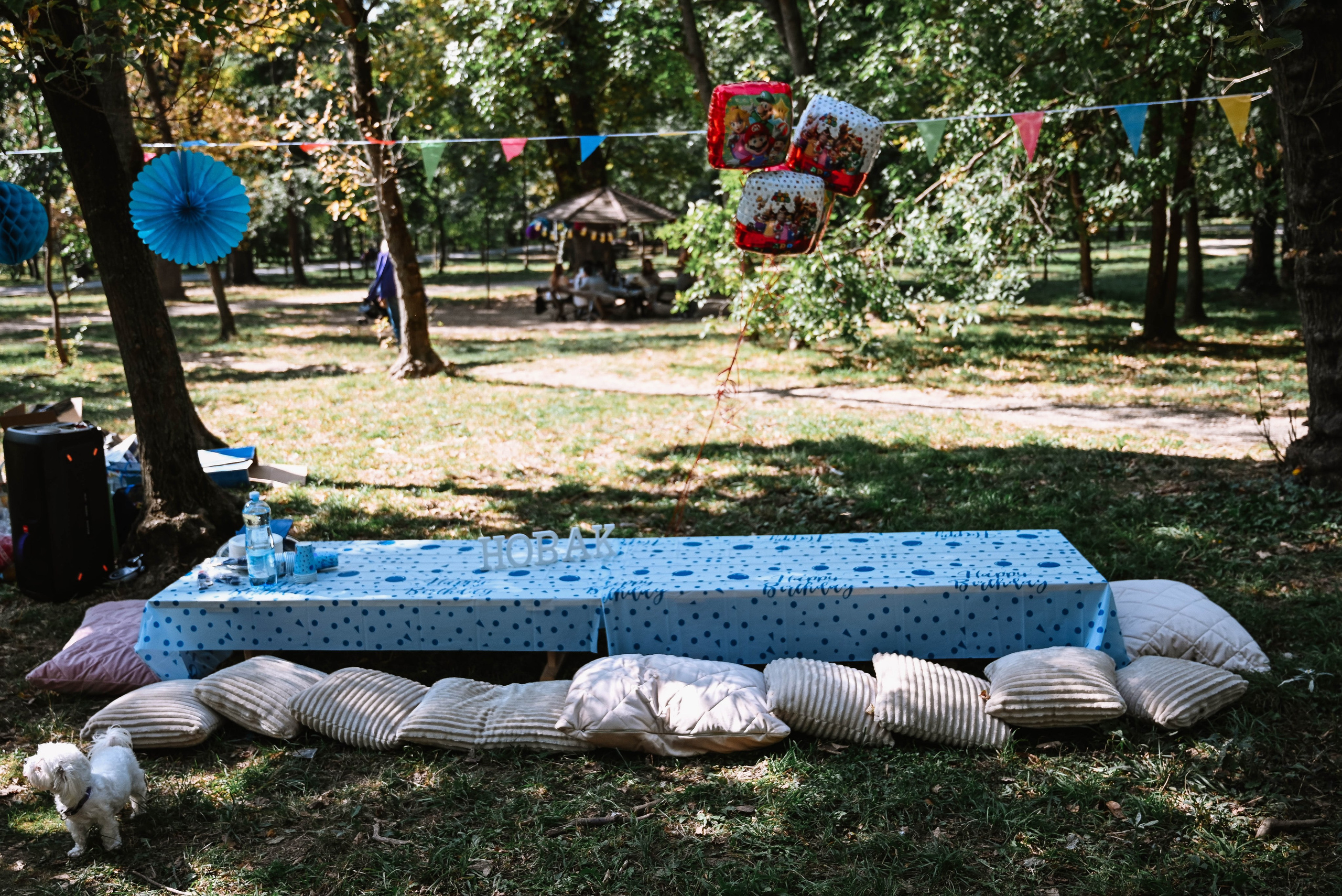 Novak 5. rođendan. Dečiji i porodični fotograf