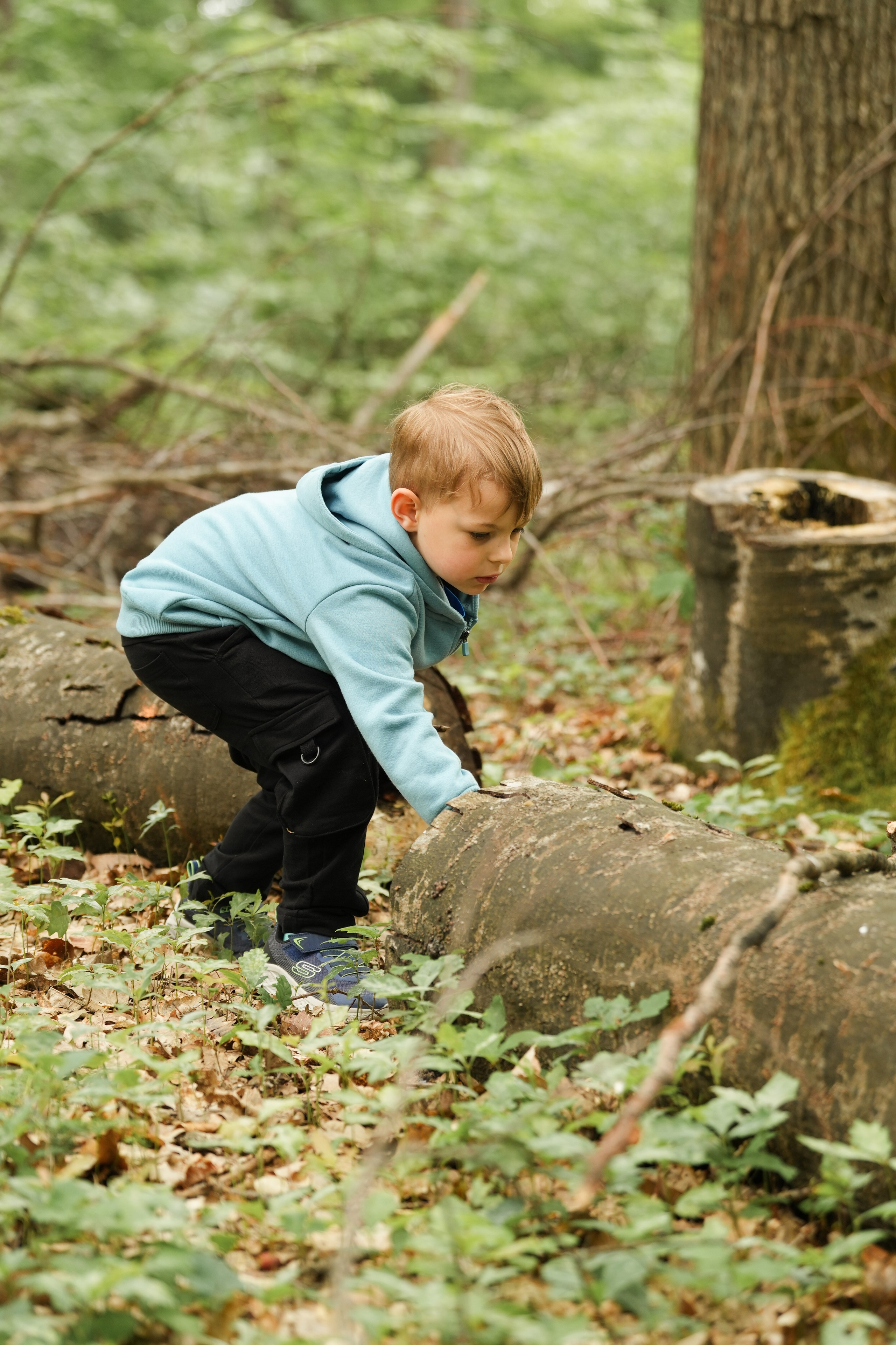 Waldkindergarten. Www.alberti-fotograf.de