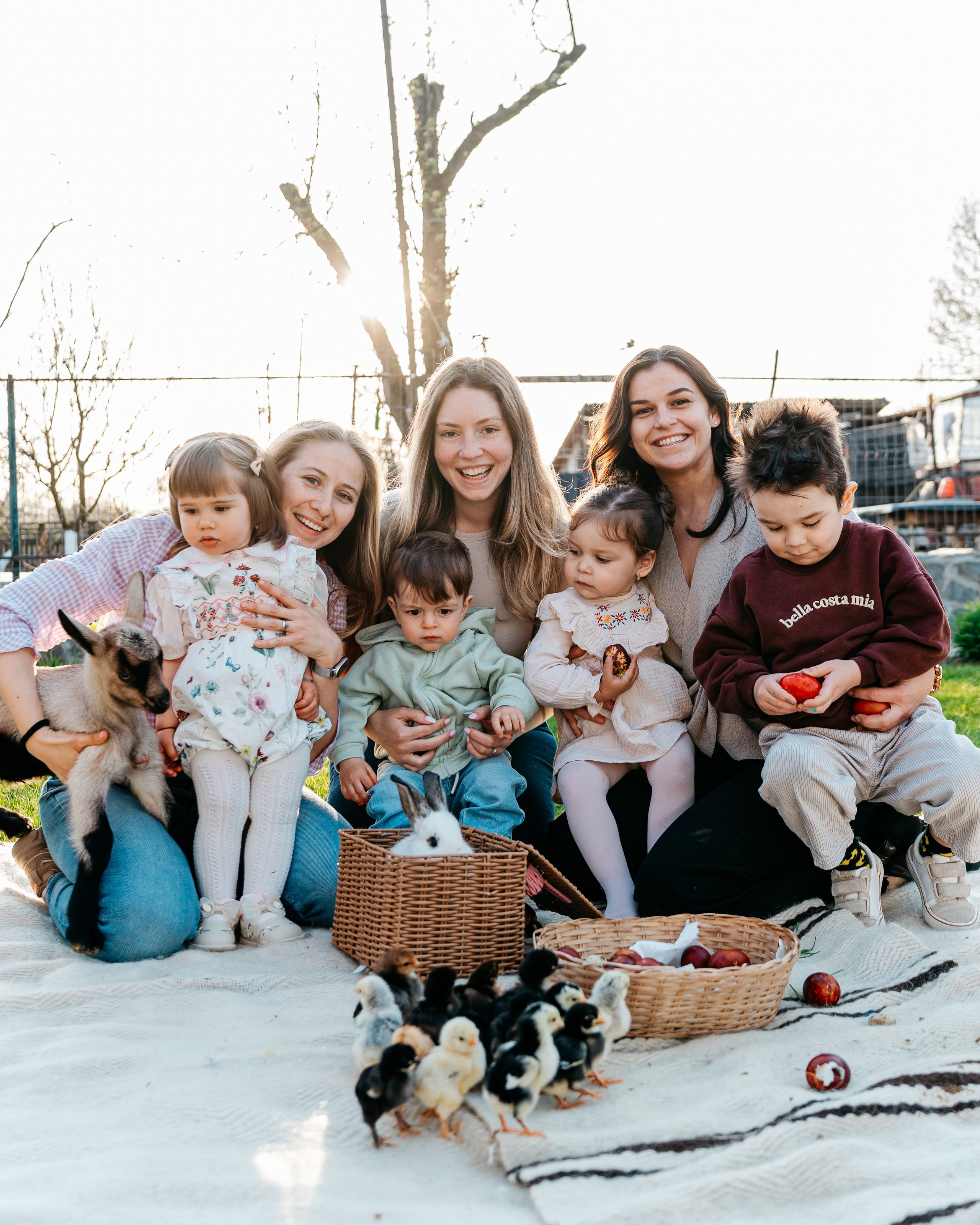 EASTER. Ars Vidi | Digital Solutions