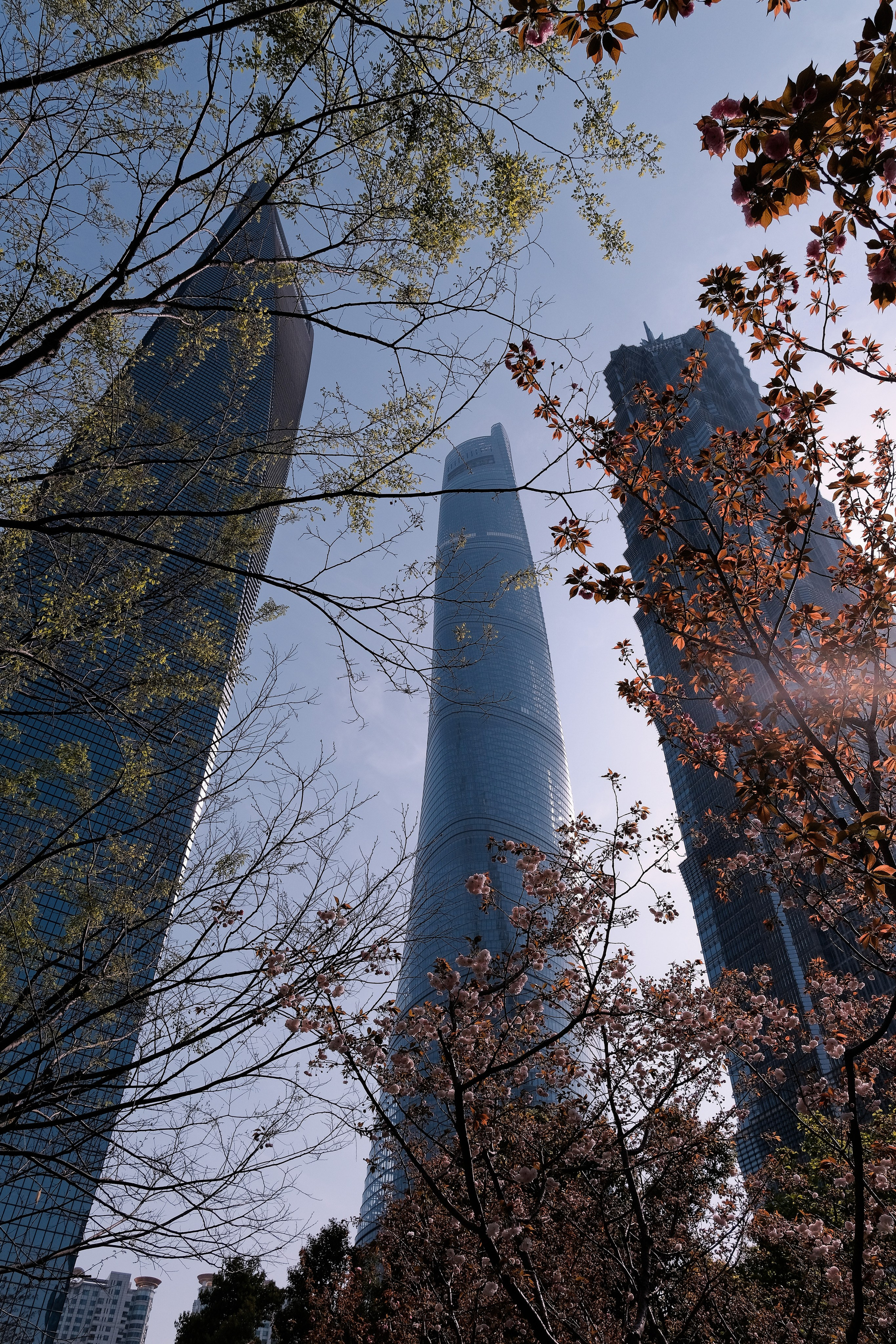 Shanghai Street Photography | Buildings