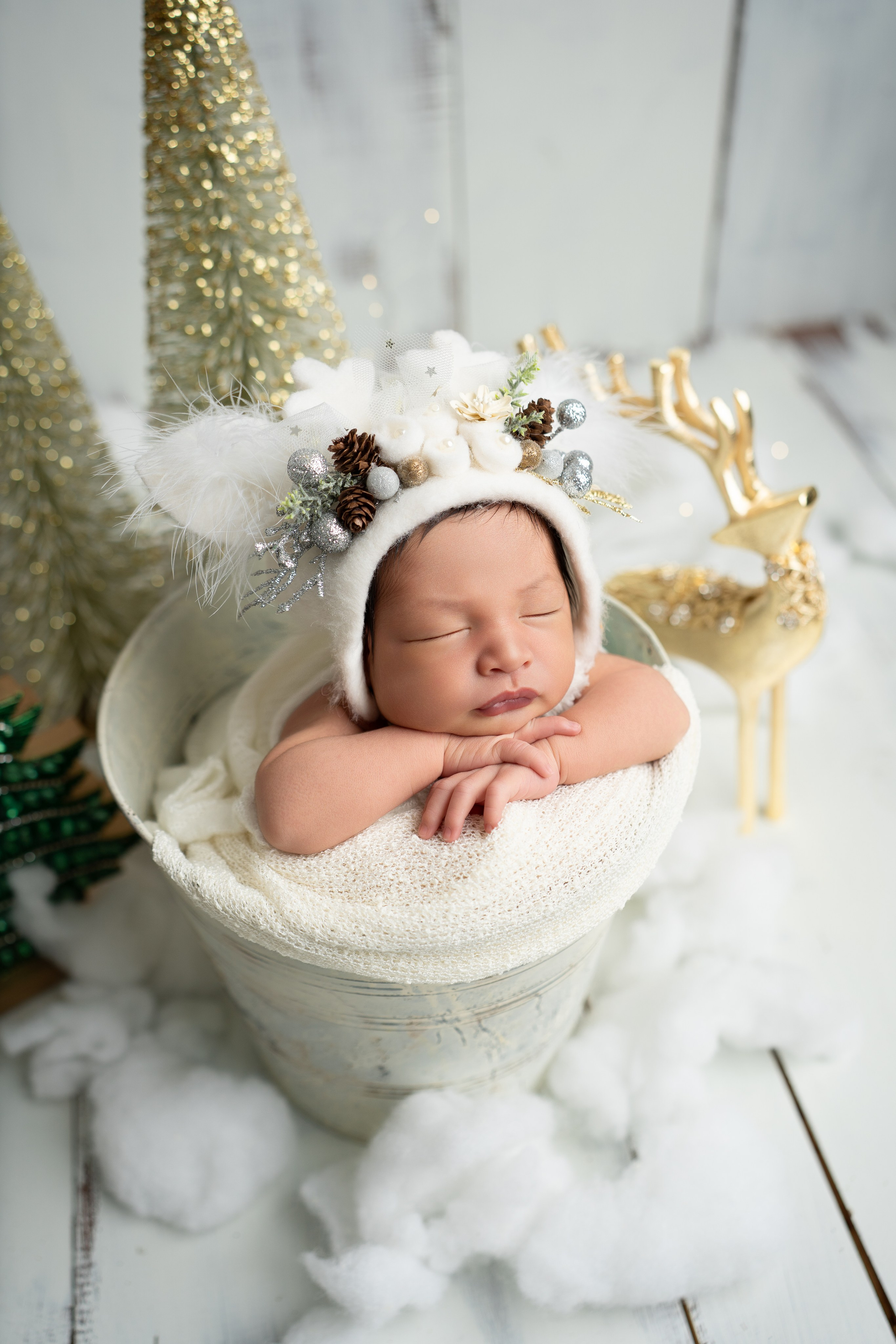 Posed Newborn. Maternity, family and newborn photography in San Francisco Bay Area