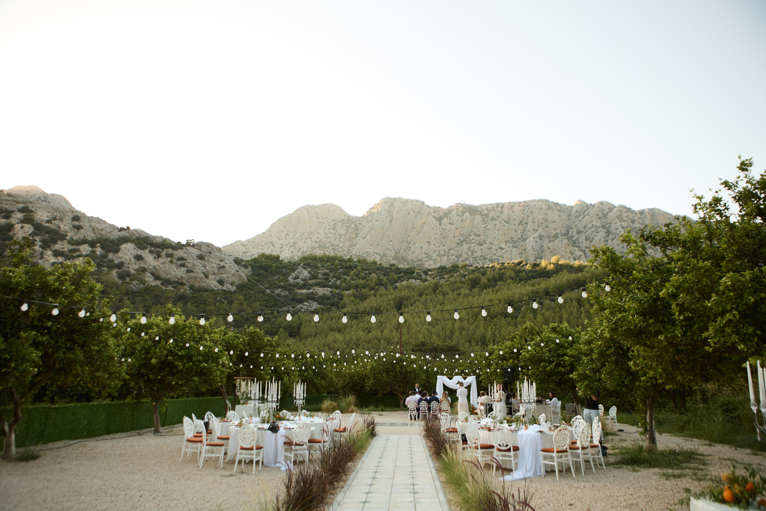 WEDDING 2025. Свадебный и семейный фотограф Жанна Руденко