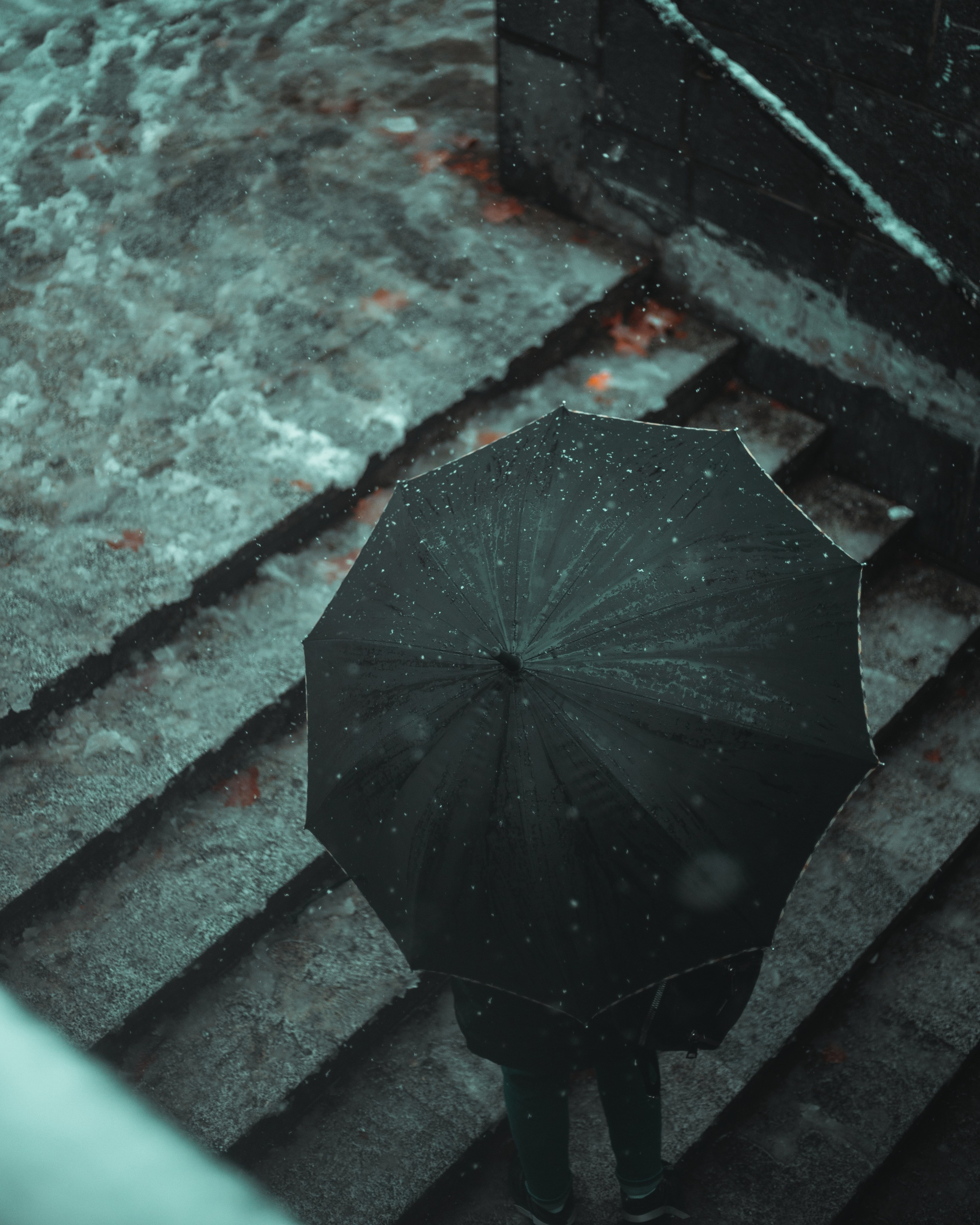 T B I L I S I. Bspander