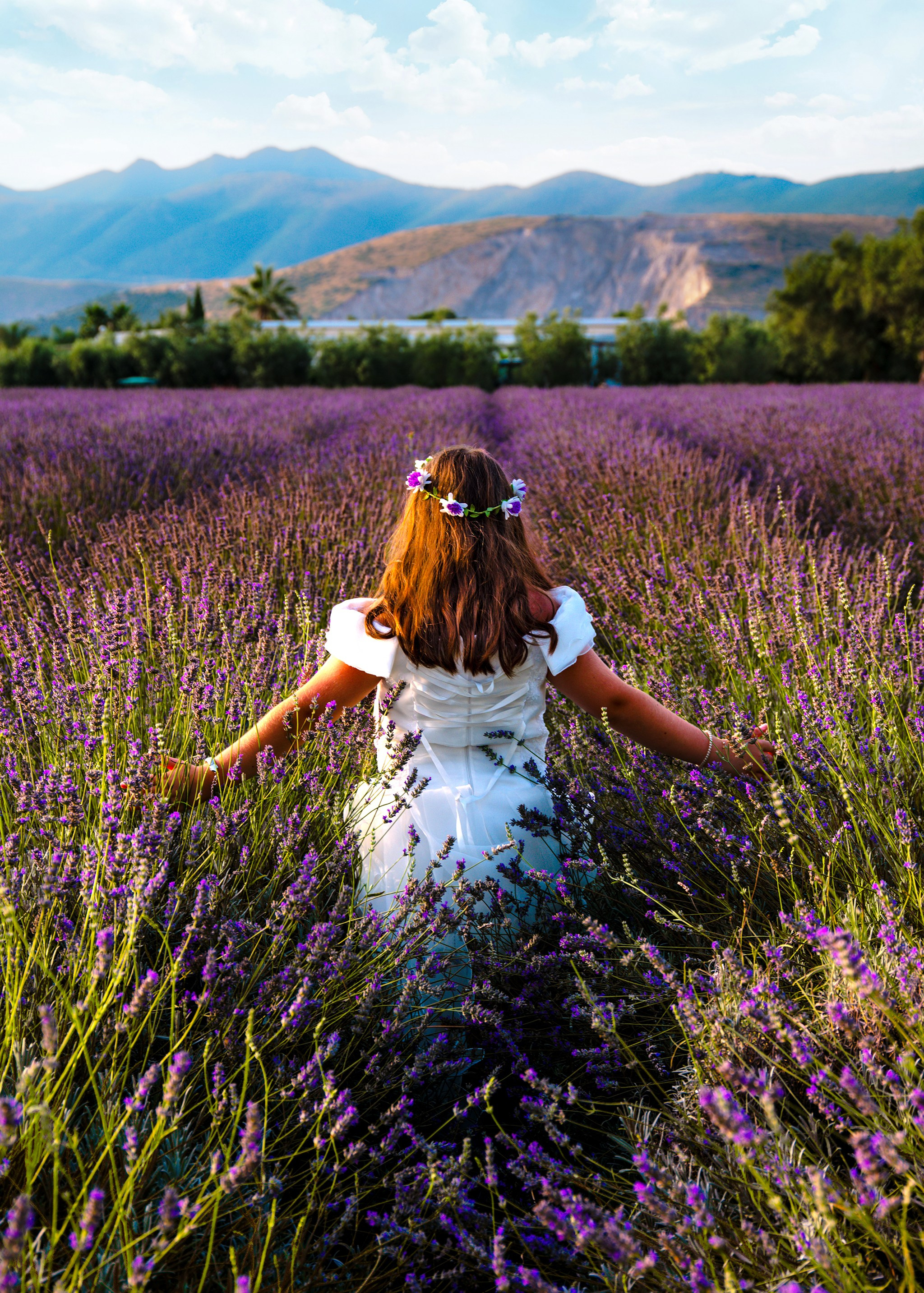 Campo di Lavanda. Fotografo di famiglia