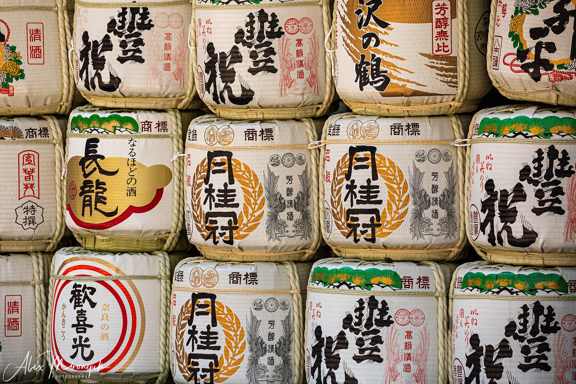 Hanami Season in Japan. Pet, Senior, Landscape, portrait studio, photographer in Miami and Sou