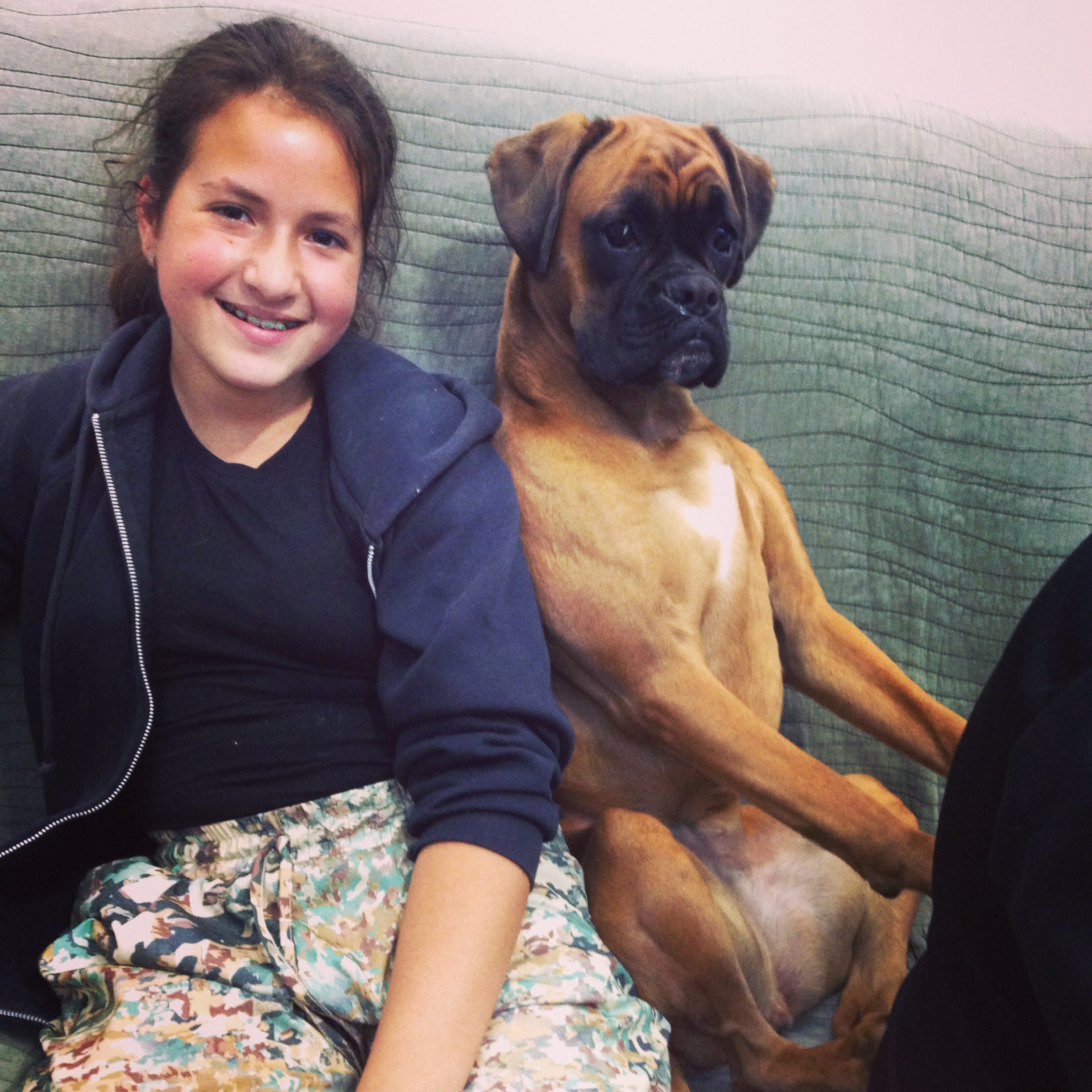 My ״Star״ Boxer Dog