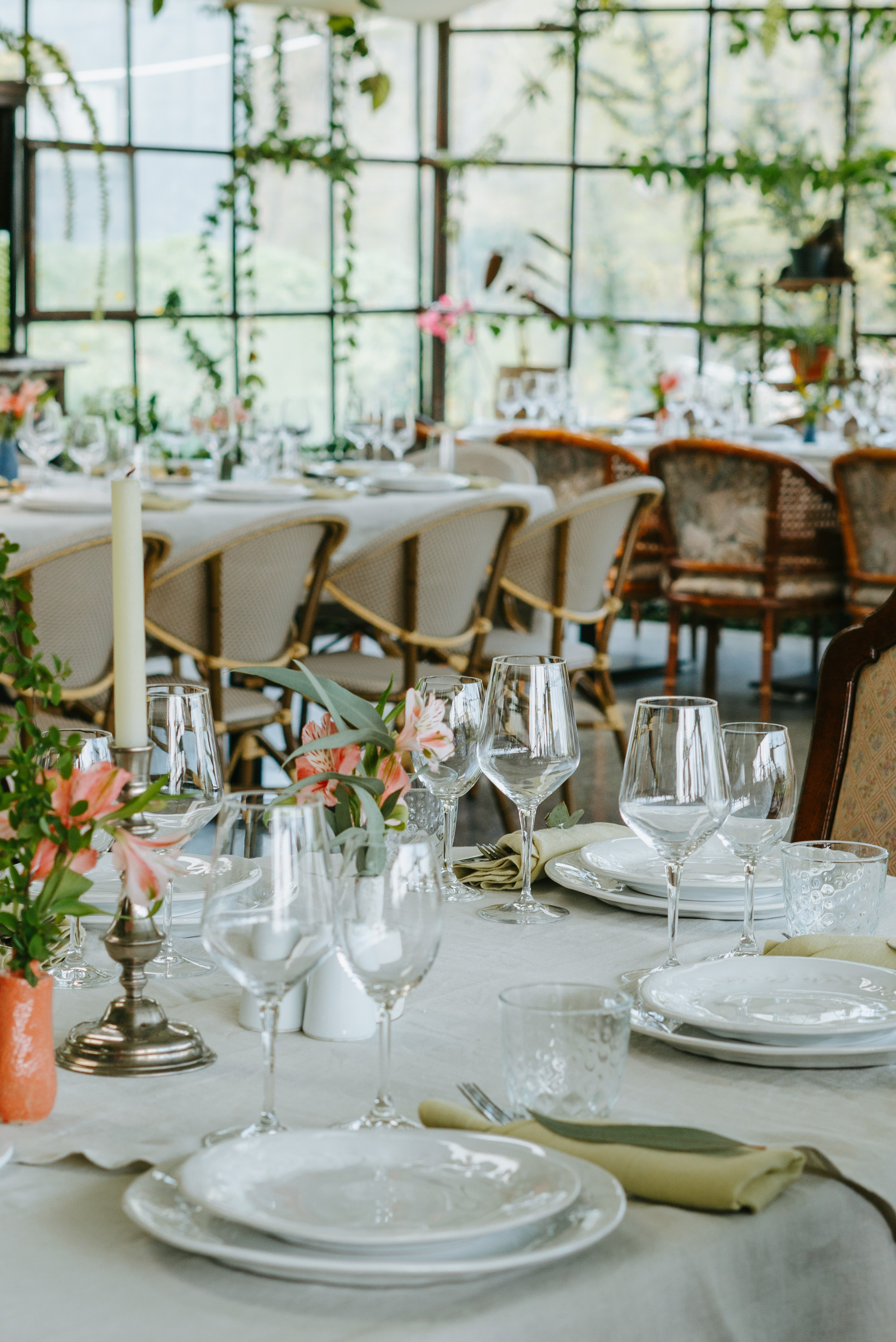 Food. Photographer and videographer for business in Tbilisi Catrine Poznyak