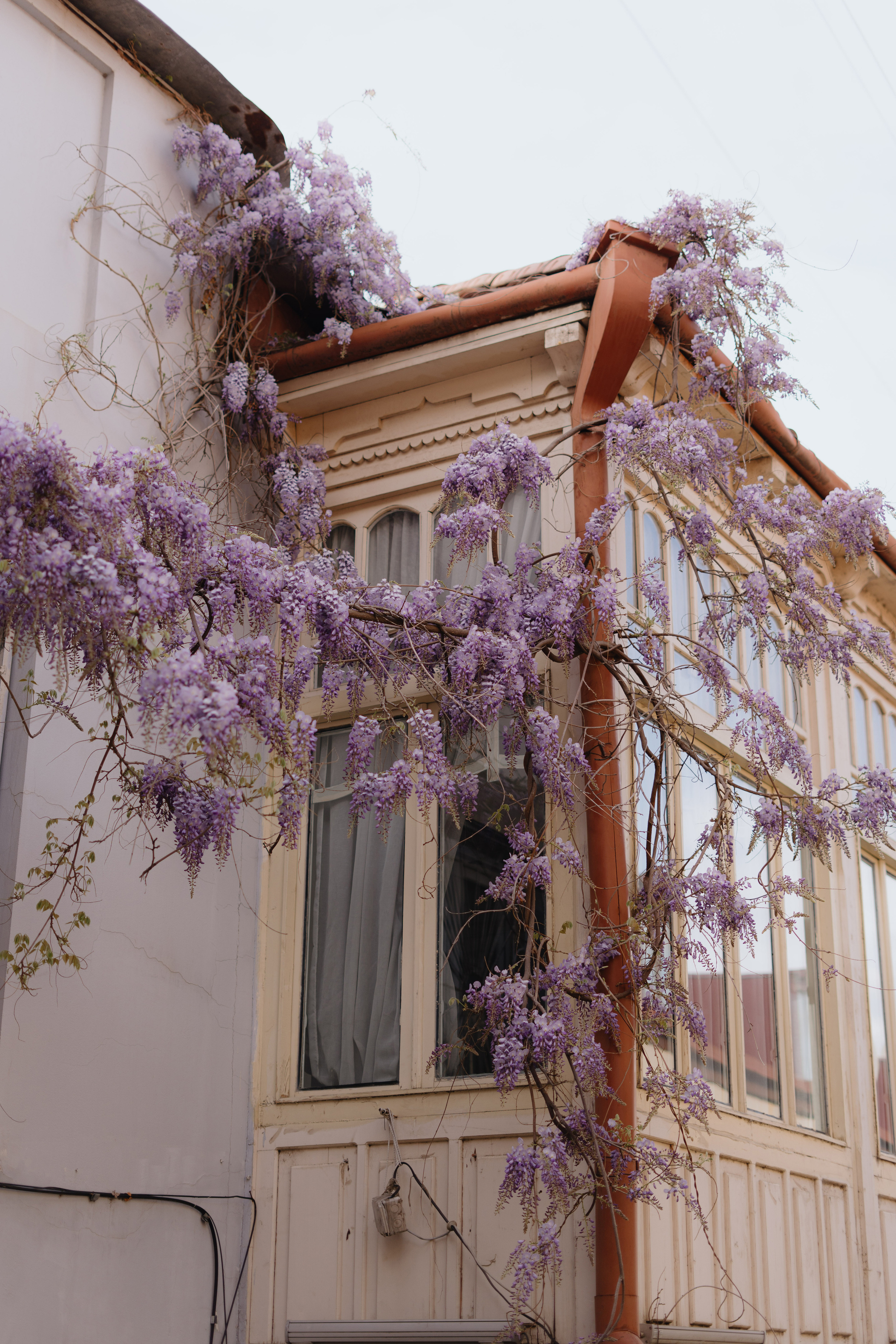 Girls, Tbilisi. Дарья Филькова — фотограф и видеограф в Тбилиси, Грузия