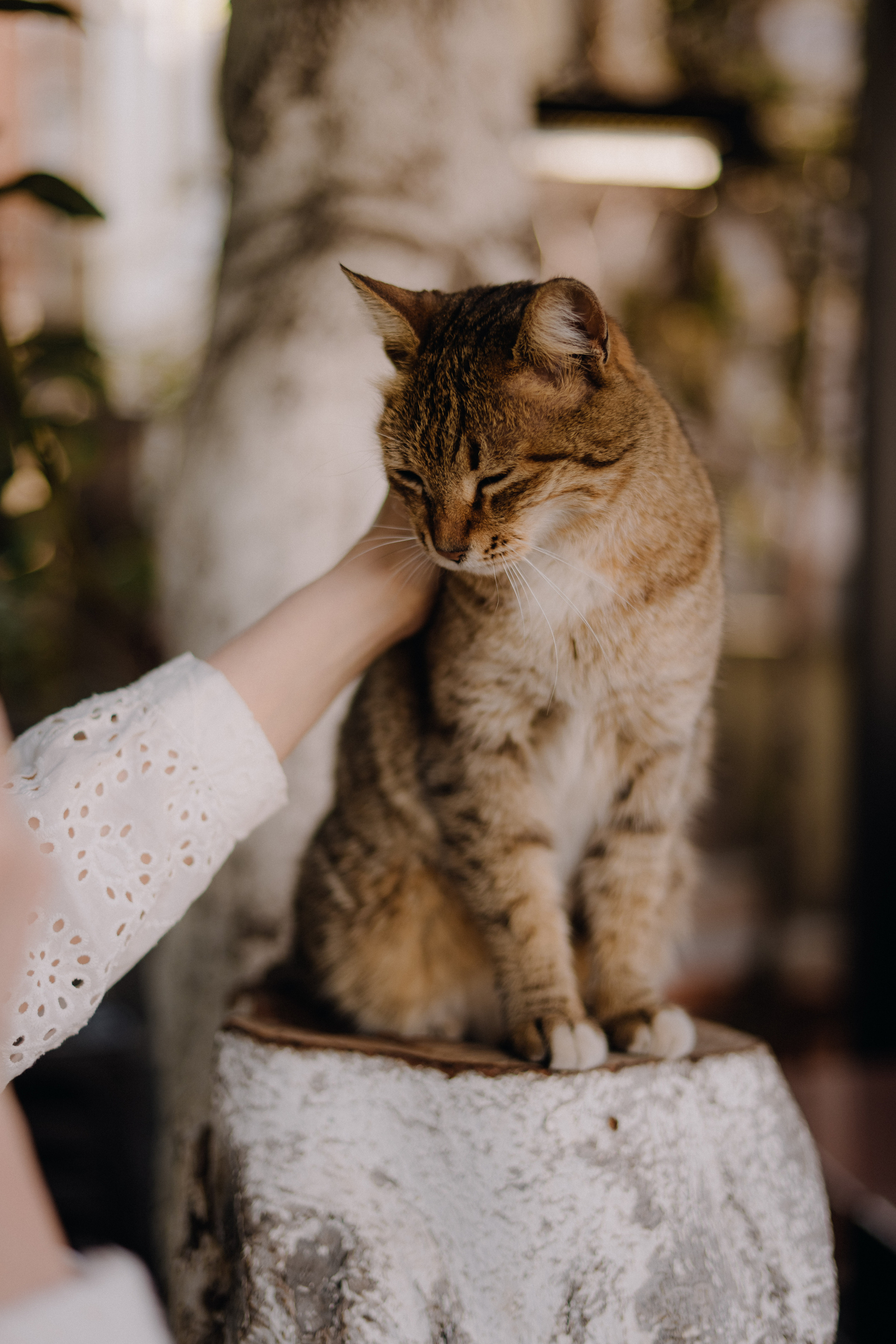 Tbilisi, March. Margo & Yura. Дарья Филькова — фотограф и видеограф в Тбилиси, Грузия