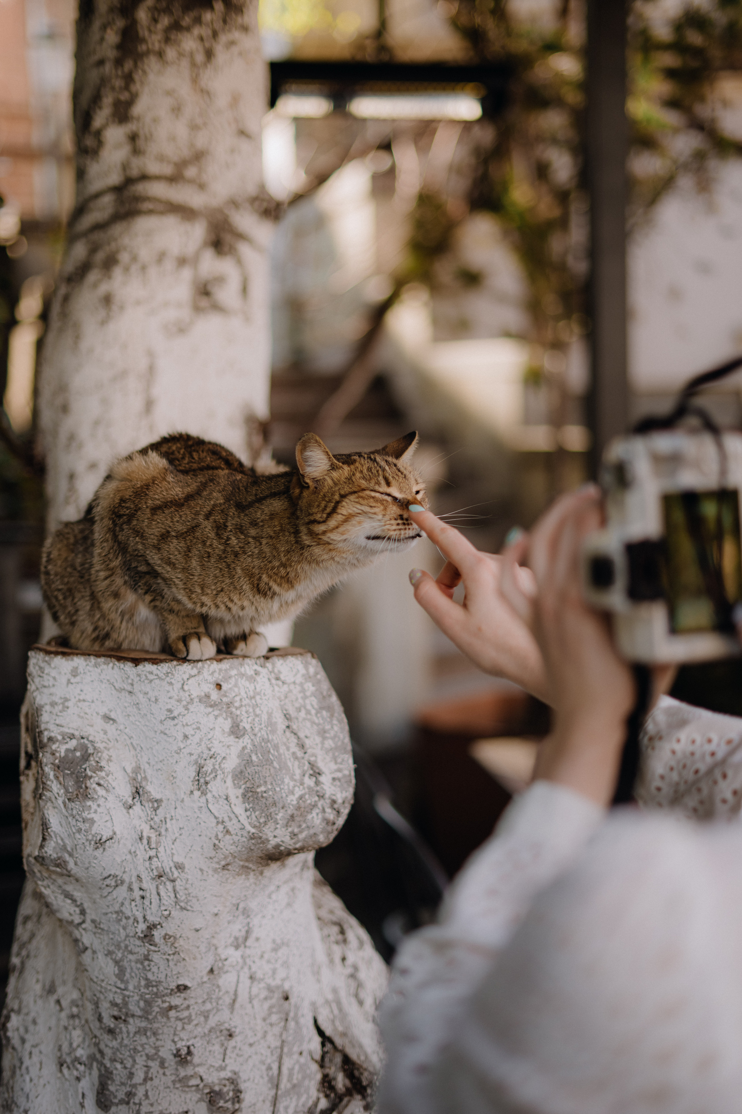 Tbilisi, March. Margo & Yura. Дарья Филькова — фотограф и видеограф в Тбилиси, Грузия